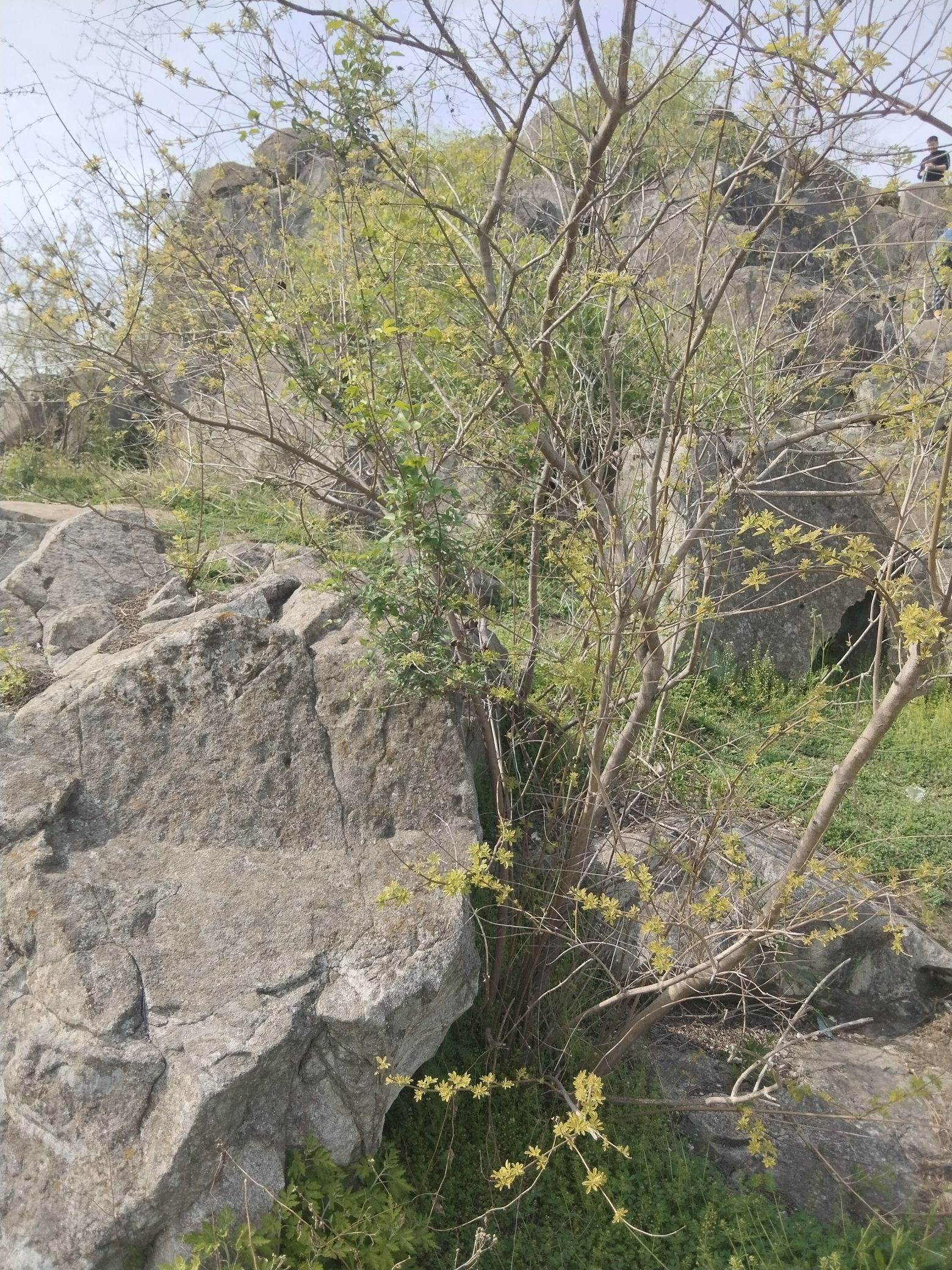 石山孜遗址旅行图片 1
