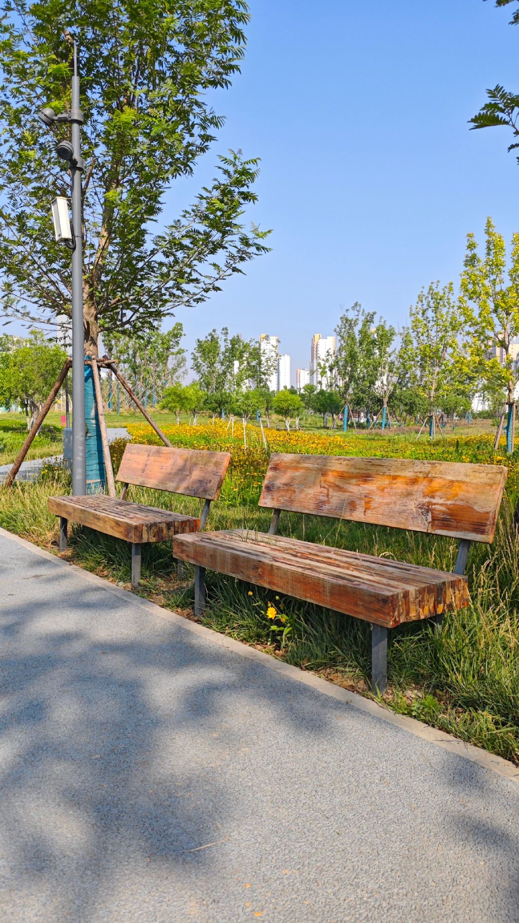 保定二师公园