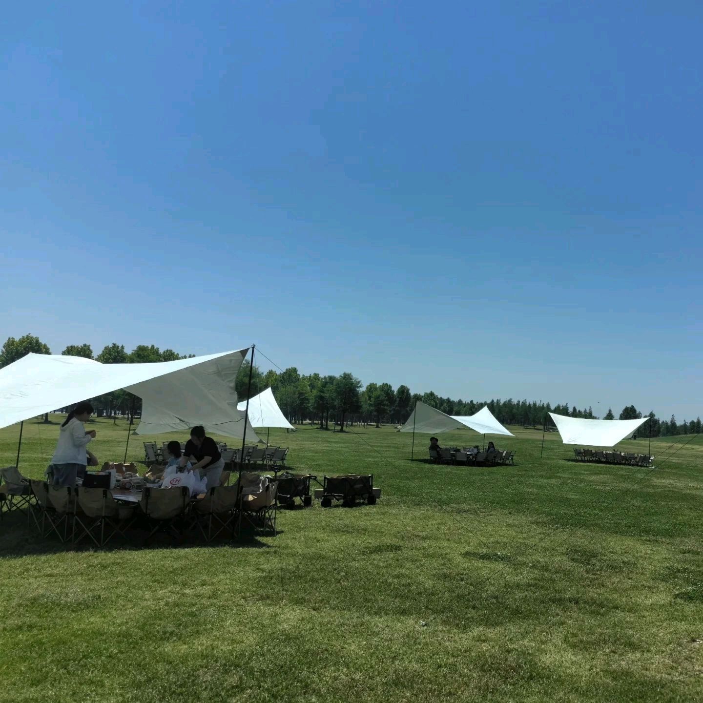 岸上草原户外露营基地·团建烧烤·轰趴