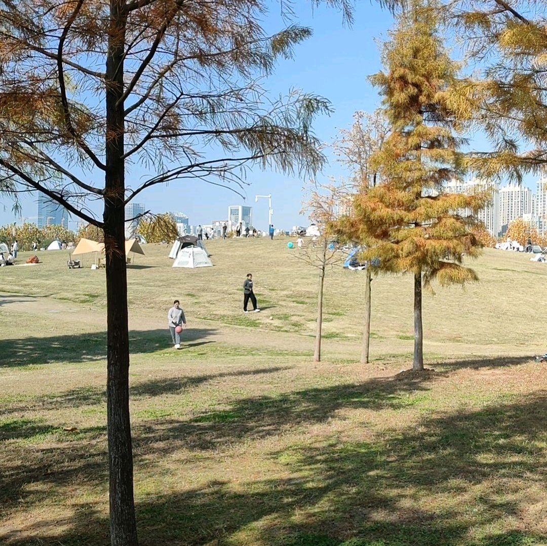 岸上草原户外露营基地·团建烧烤·轰趴