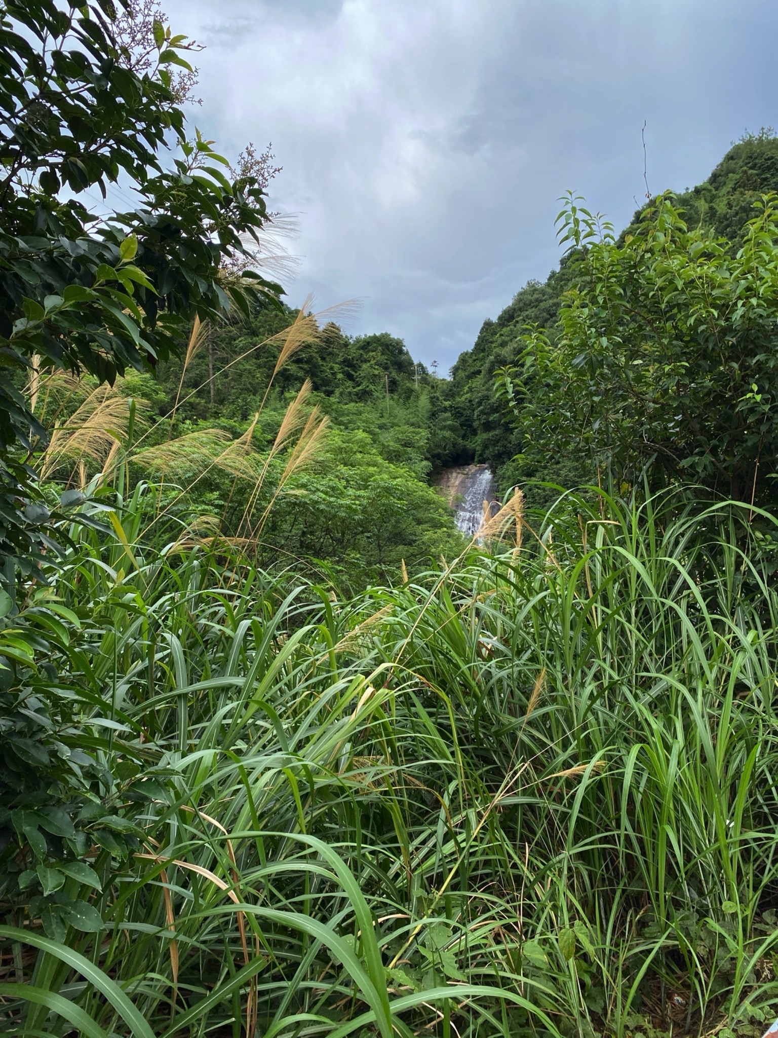滴水寨瀑布旅行图片 3