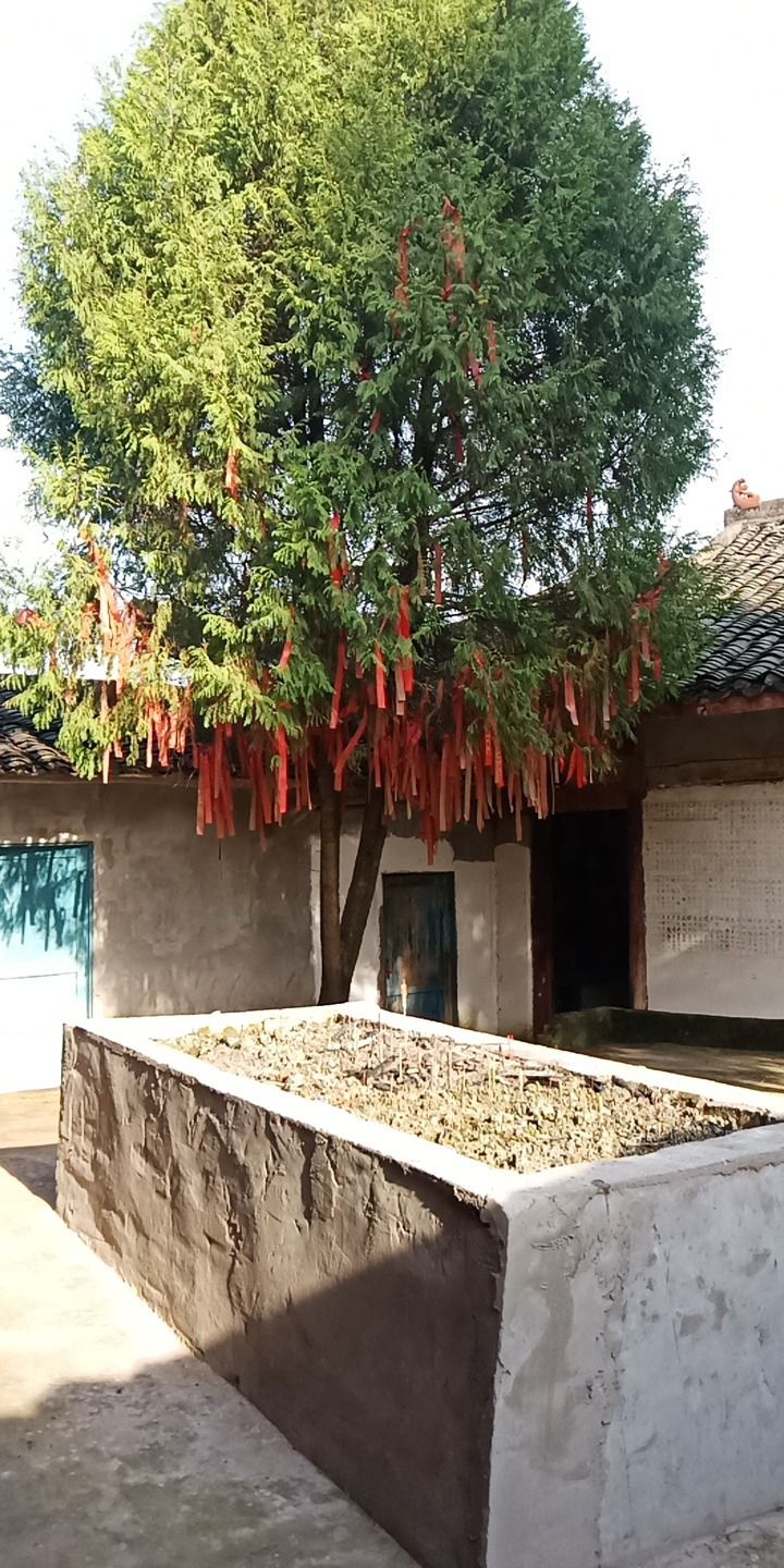 羊山观