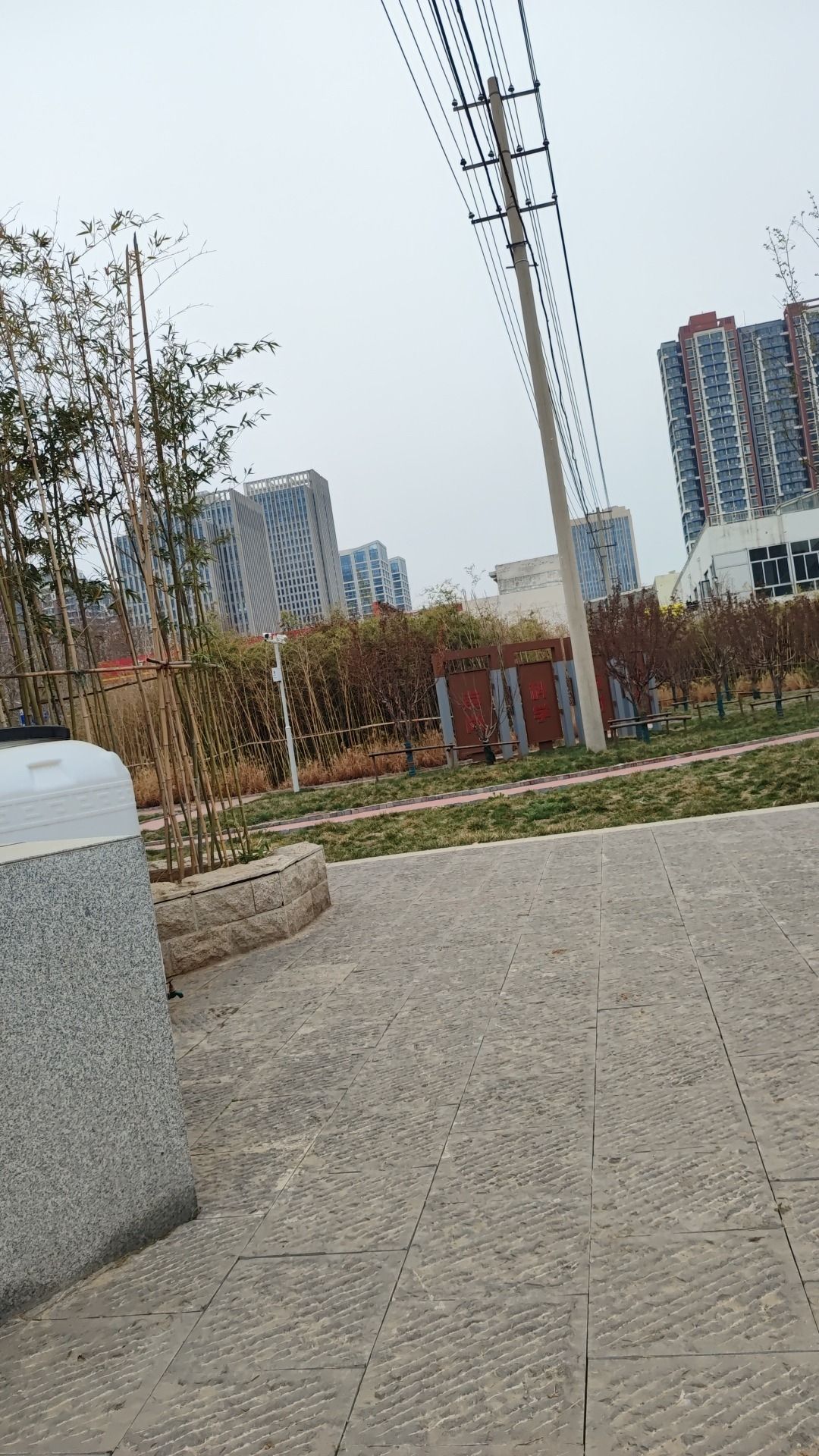 振二街游园旅行图片 2