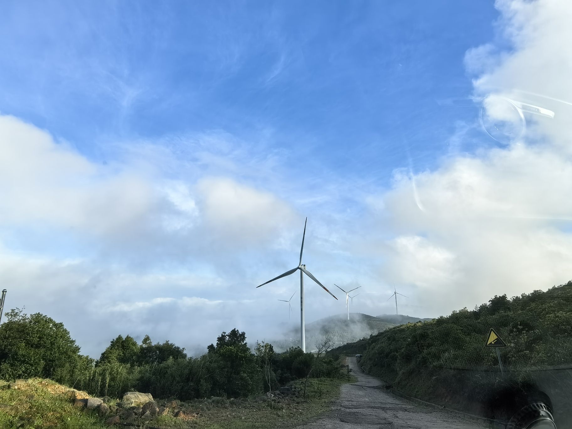 喂蚊小分队露营地(草山21号风车店)