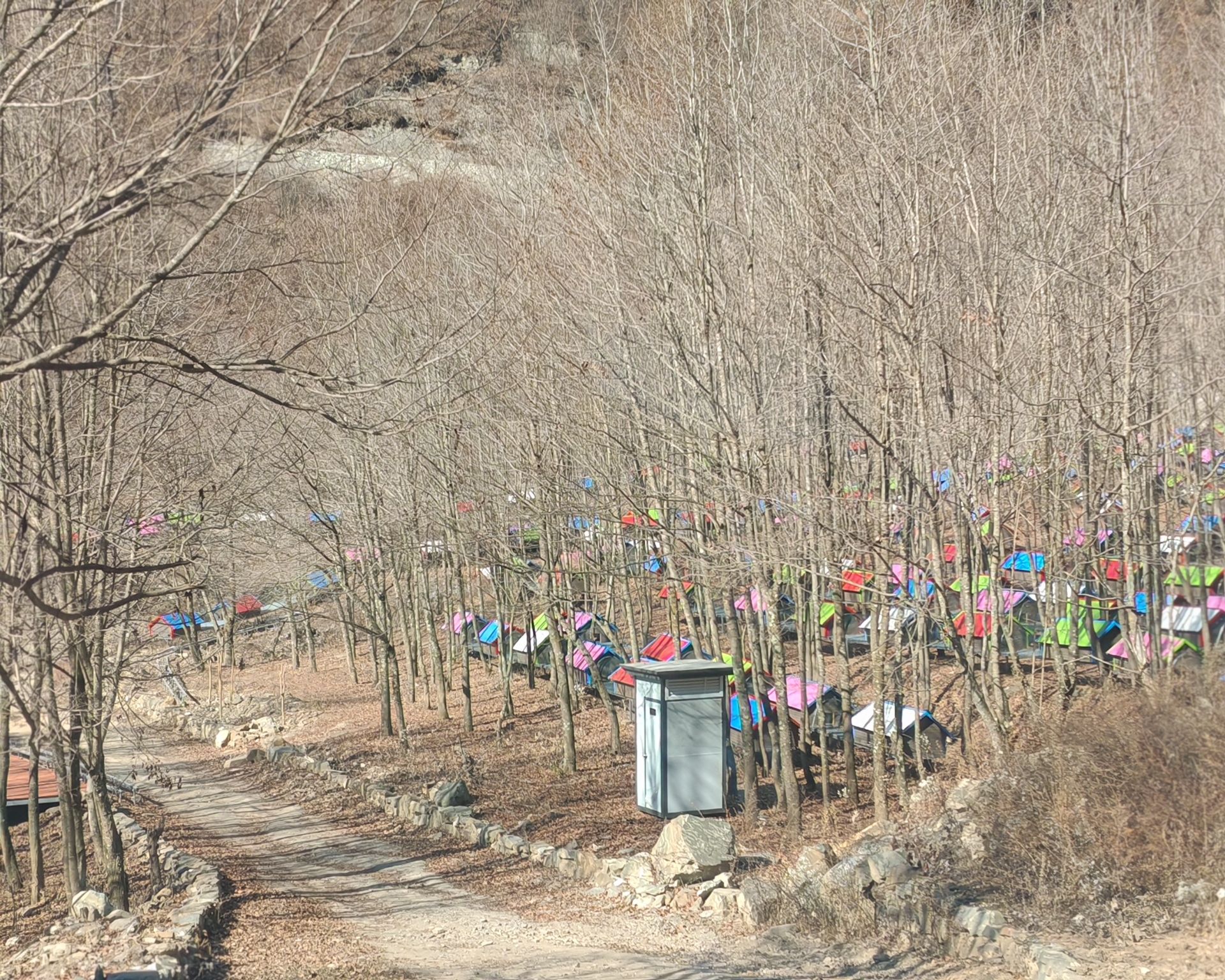 花溪飞瀑旅行图片 2