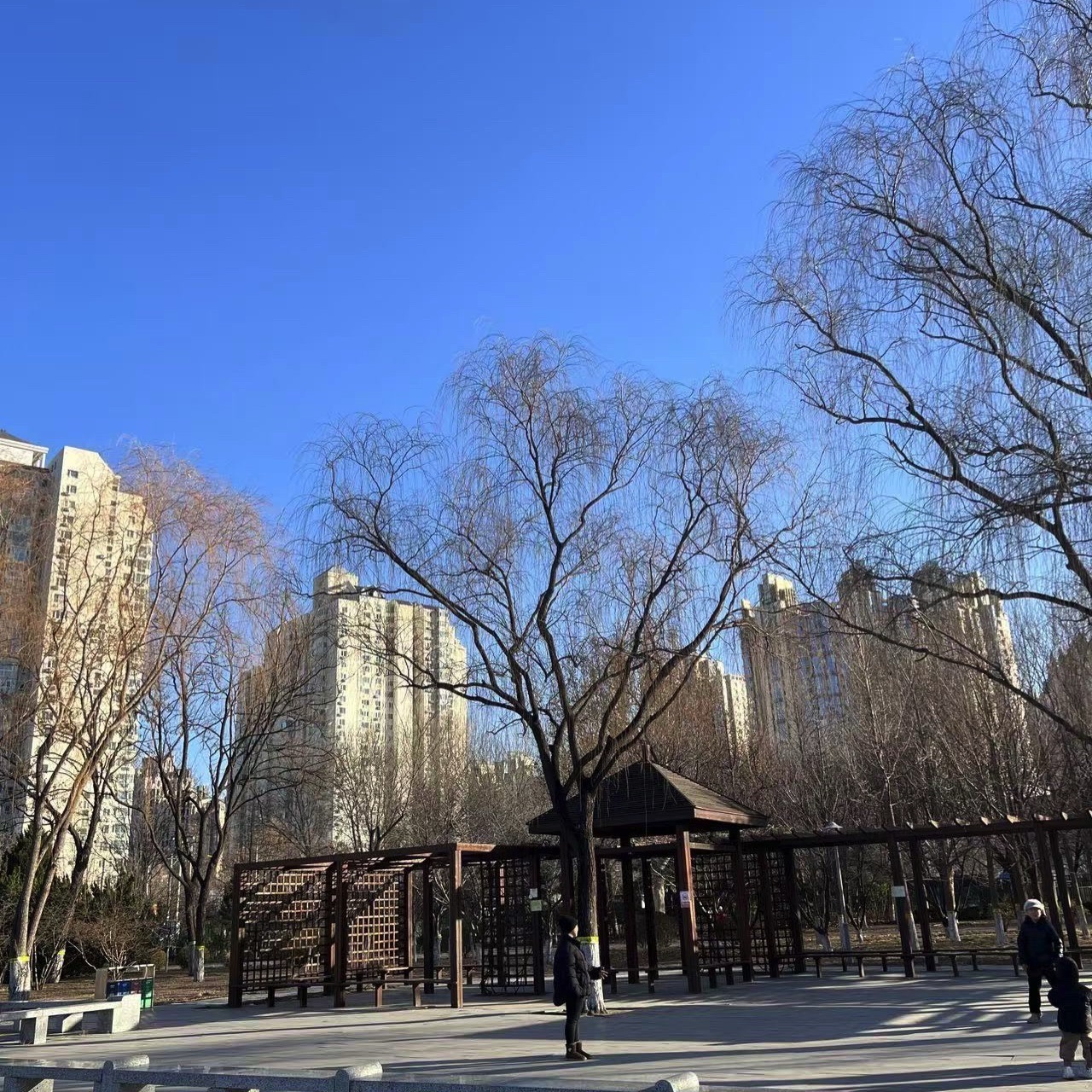 旺湖公园旅行图片 1