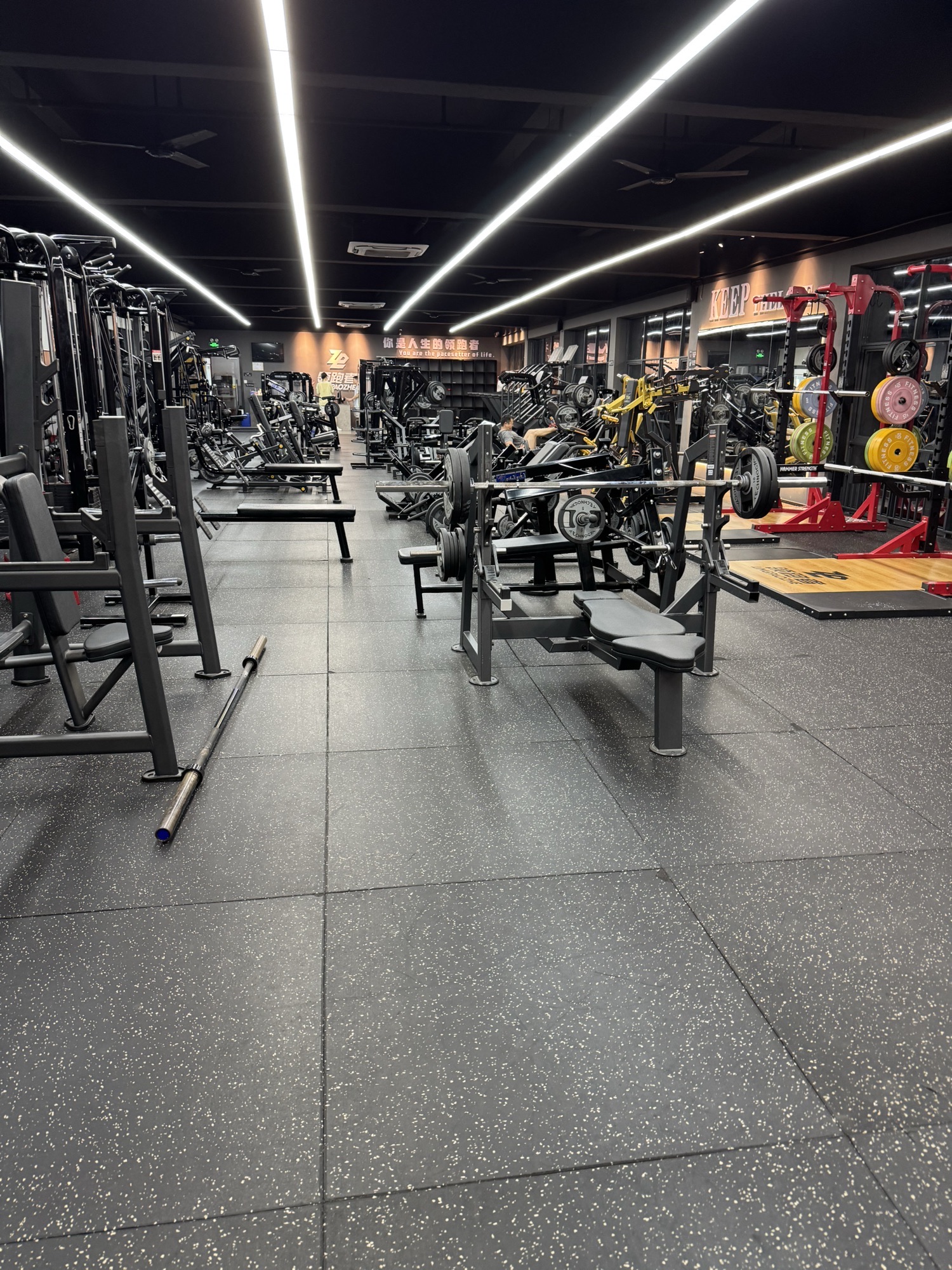 场地封面-领跑者健身铁馆(元芬店)