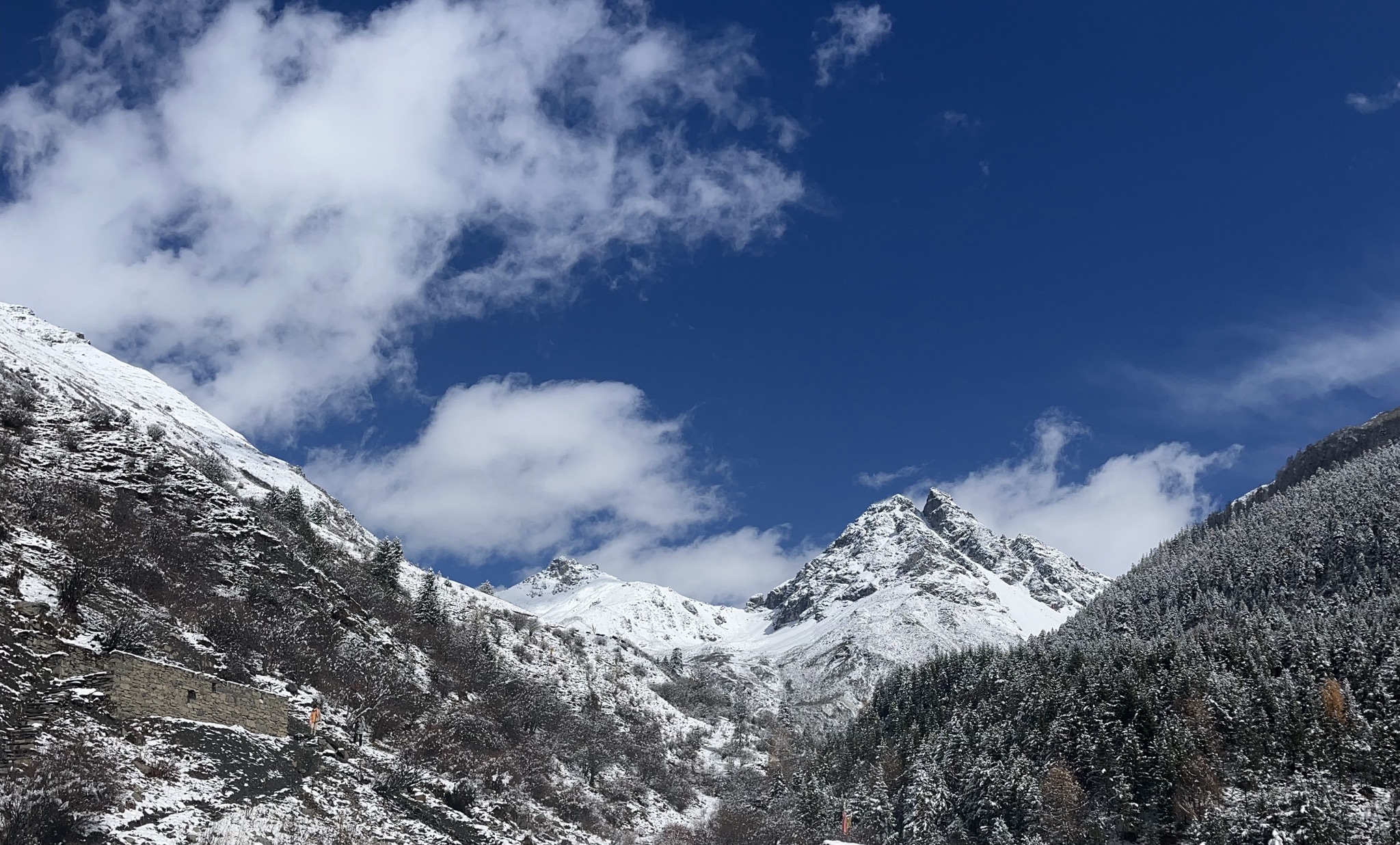 莫珍措旅行图片 2
