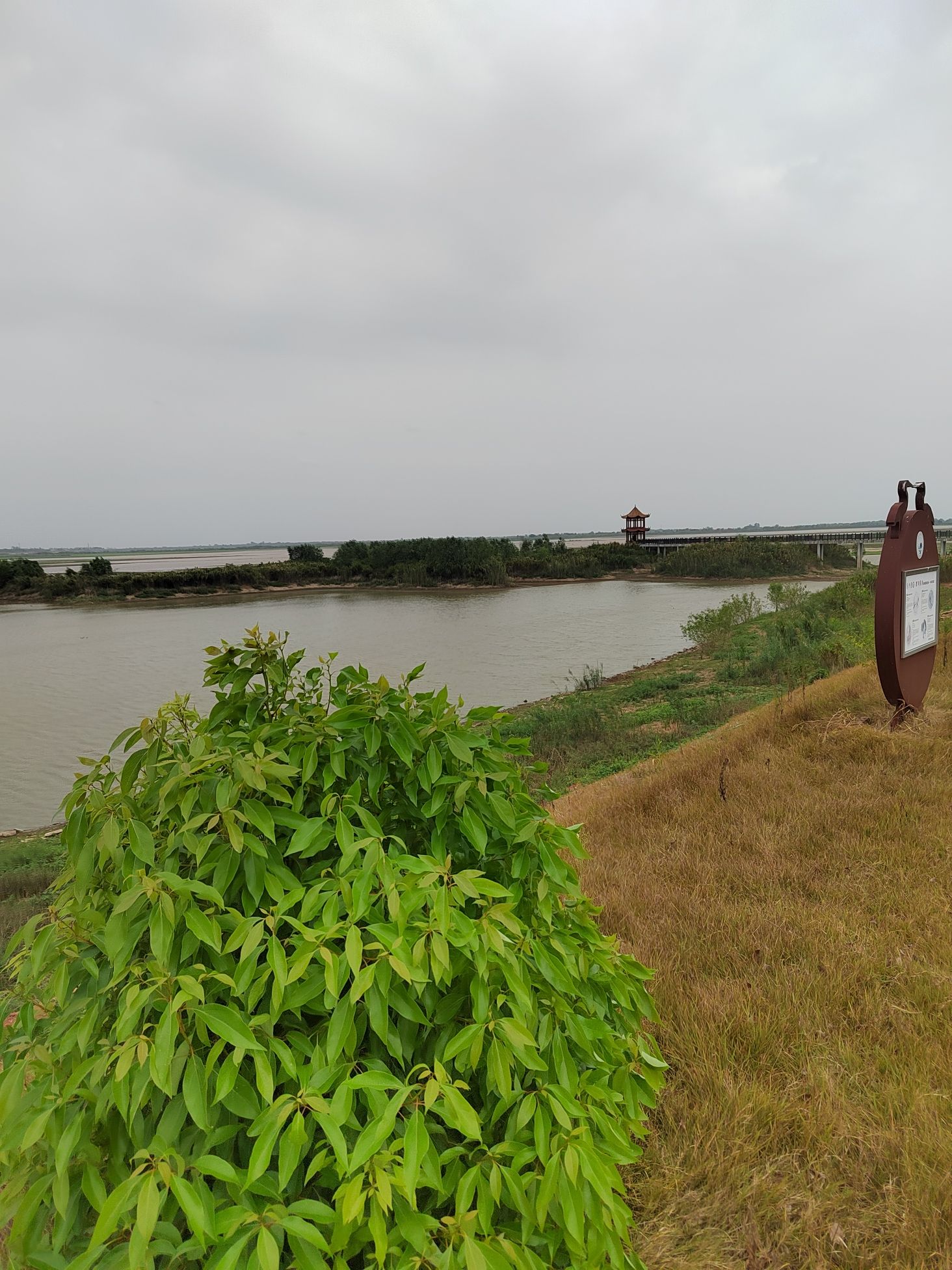 青山湖候鸟苑旅行图片 2