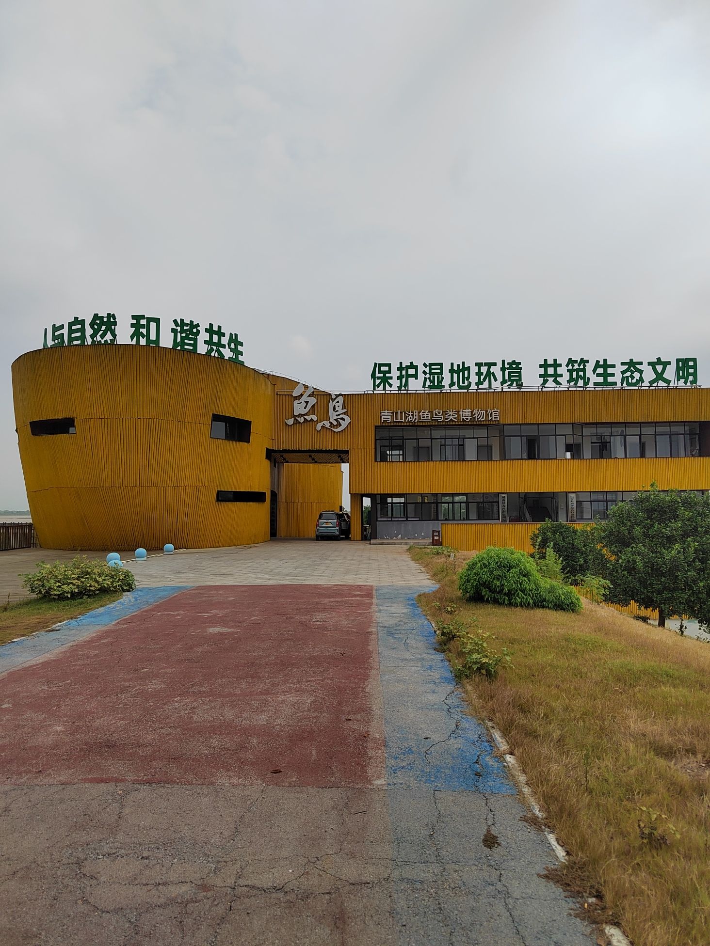 青山湖候鸟苑旅行图片 1