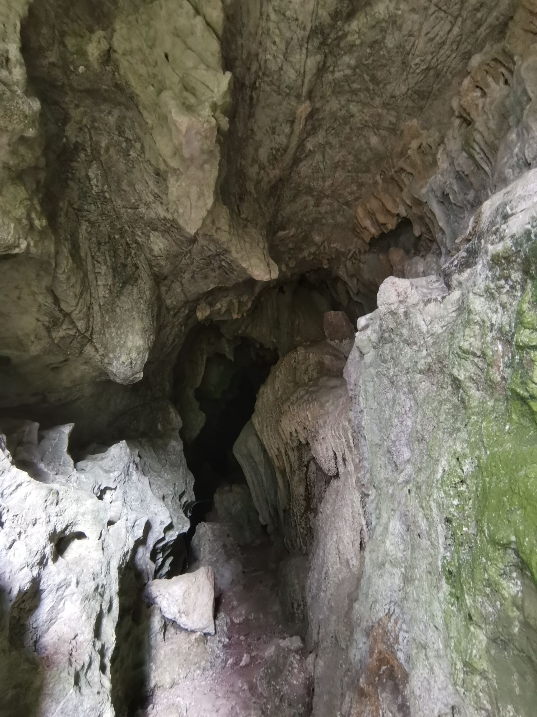 大山野猫洞旅行图片 3