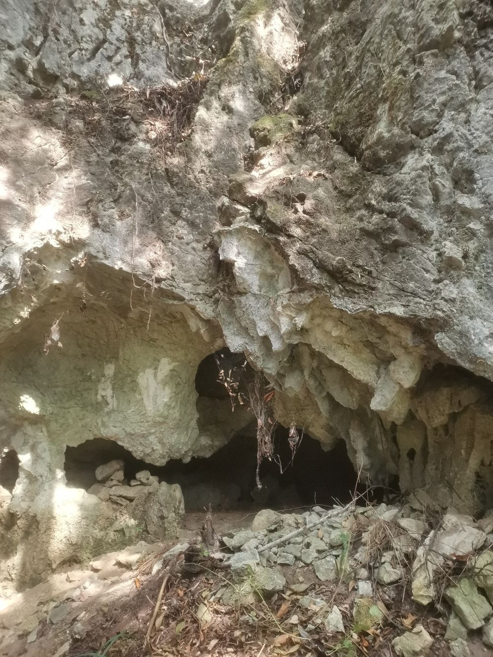 大山野猫洞旅行图片 2