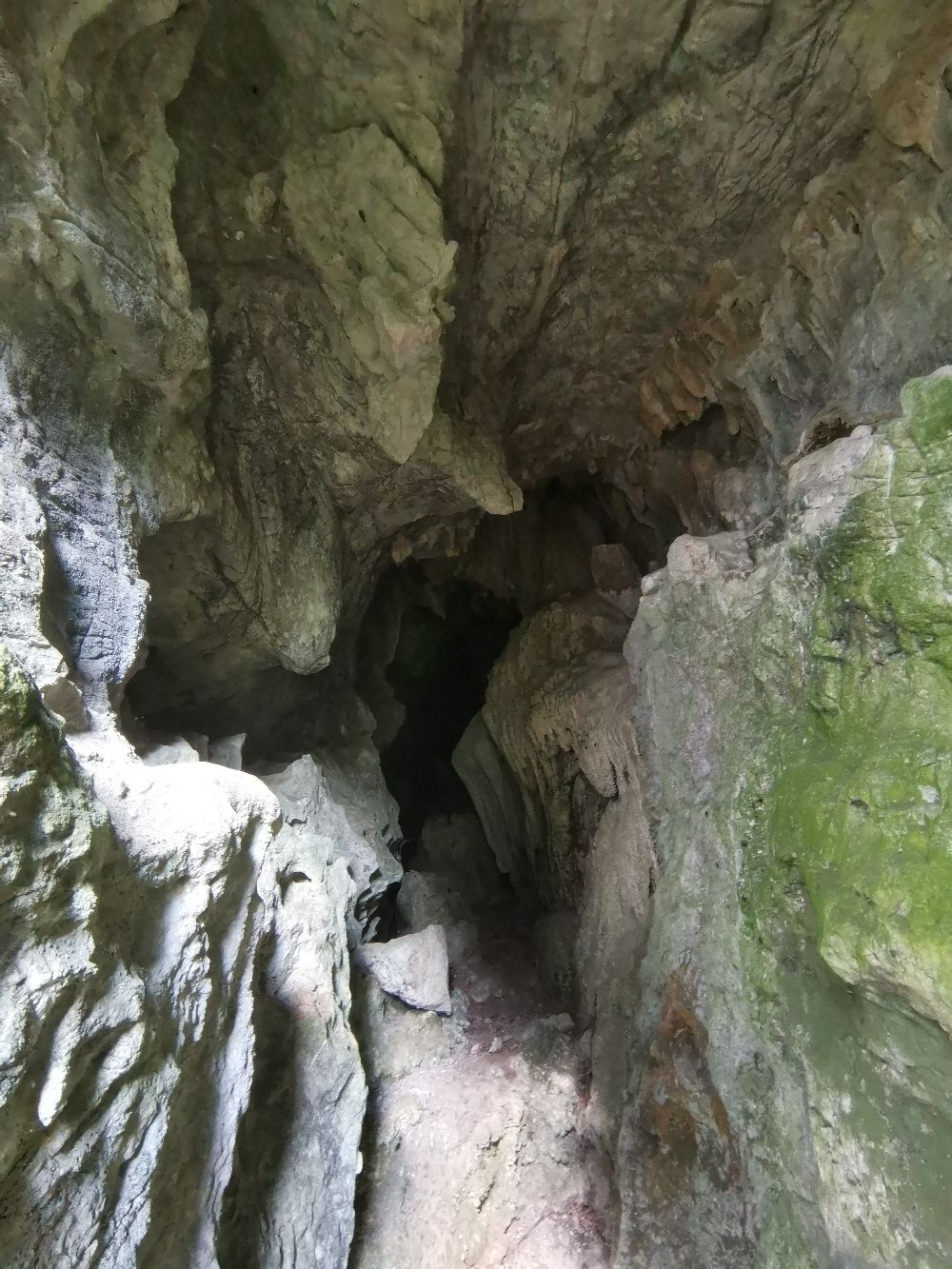 大山野猫洞旅行图片 1