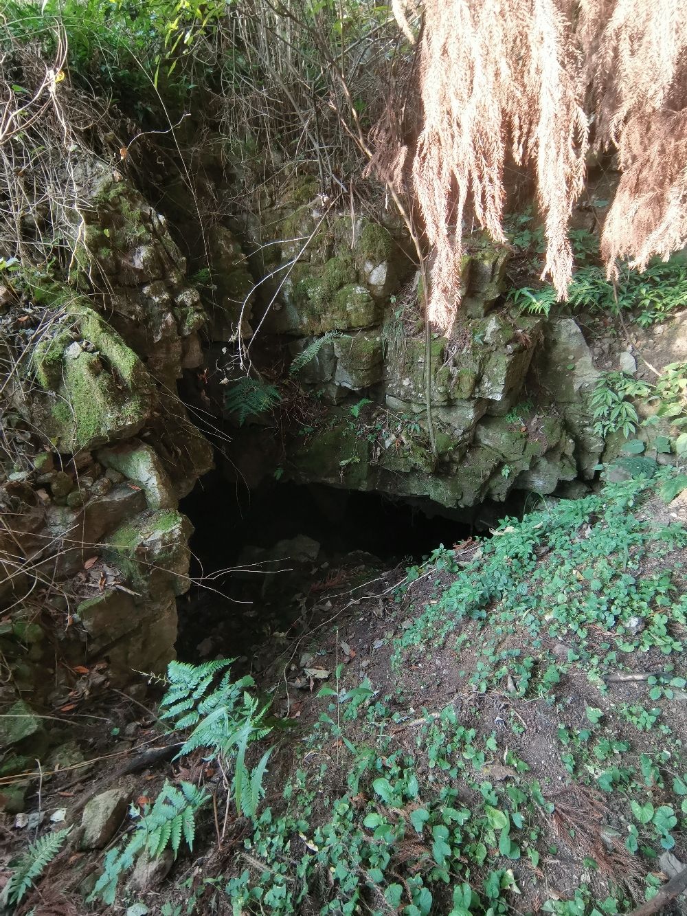 羊鬼洞景点旅行图片 1