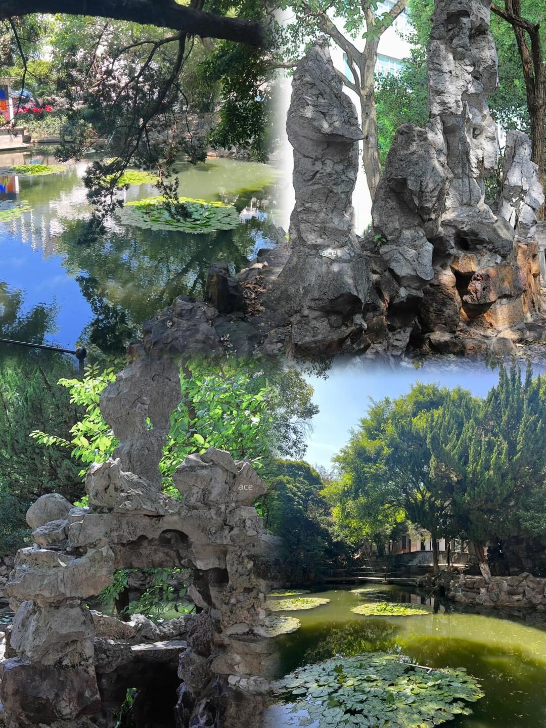 遂园旅行图片 3