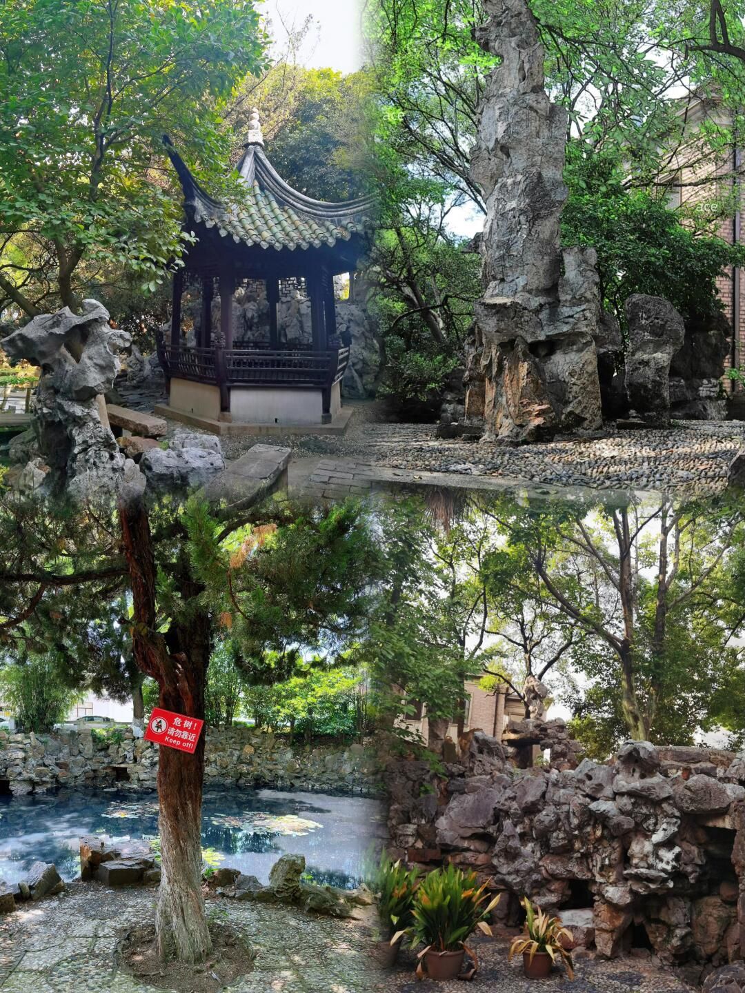 遂园旅行图片 2