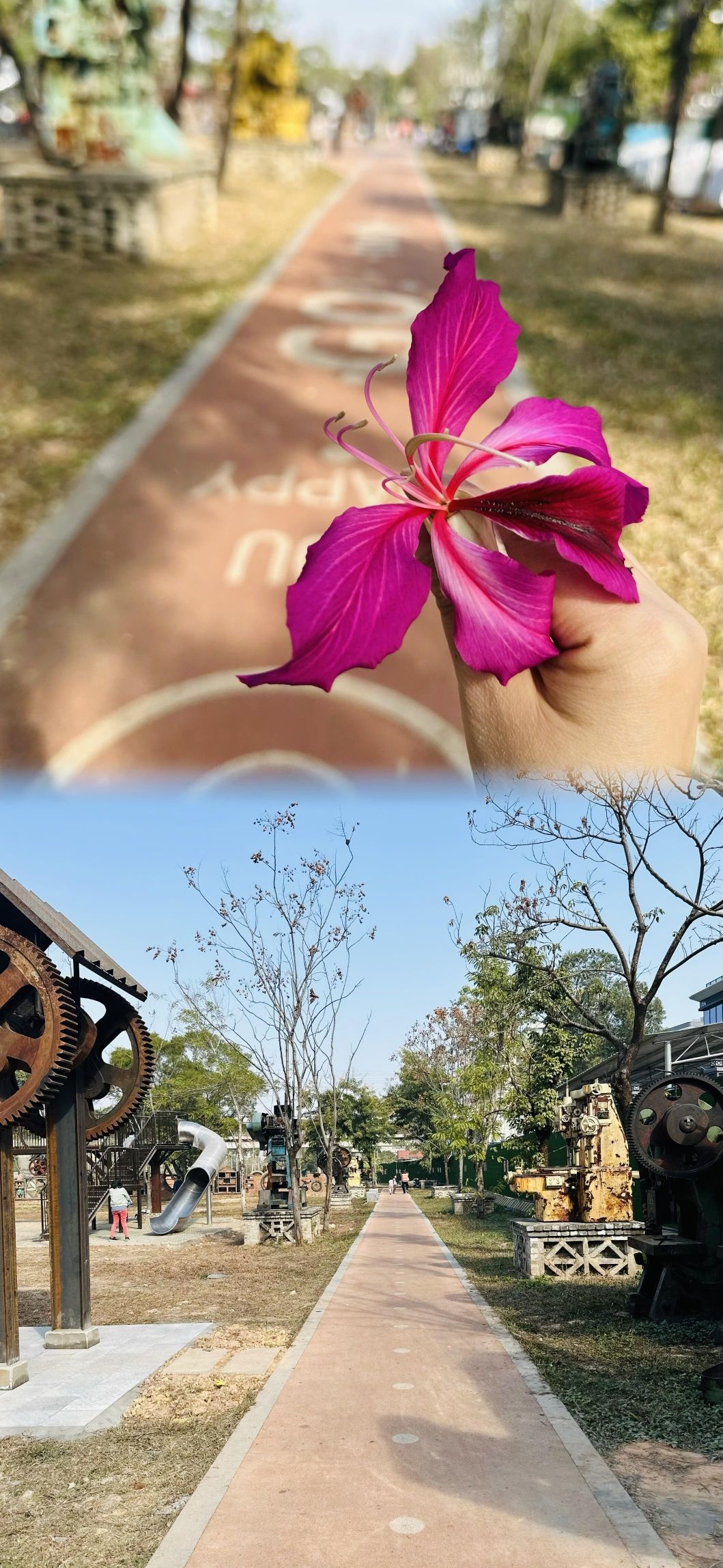 江高镇机械公园旅行图片 1