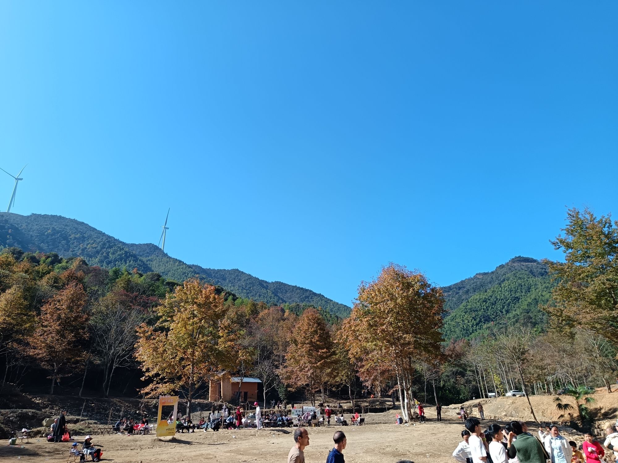 小溪安山千年银杏谷旅行图片 3