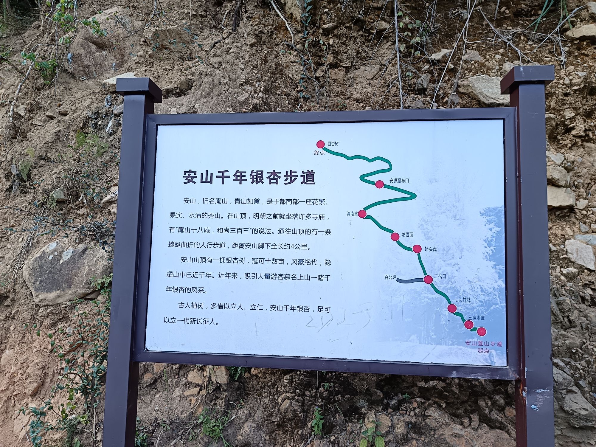 小溪安山千年银杏谷旅行图片 1
