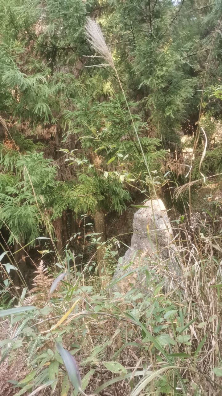 大山坟尾巴洞旅行图片 2
