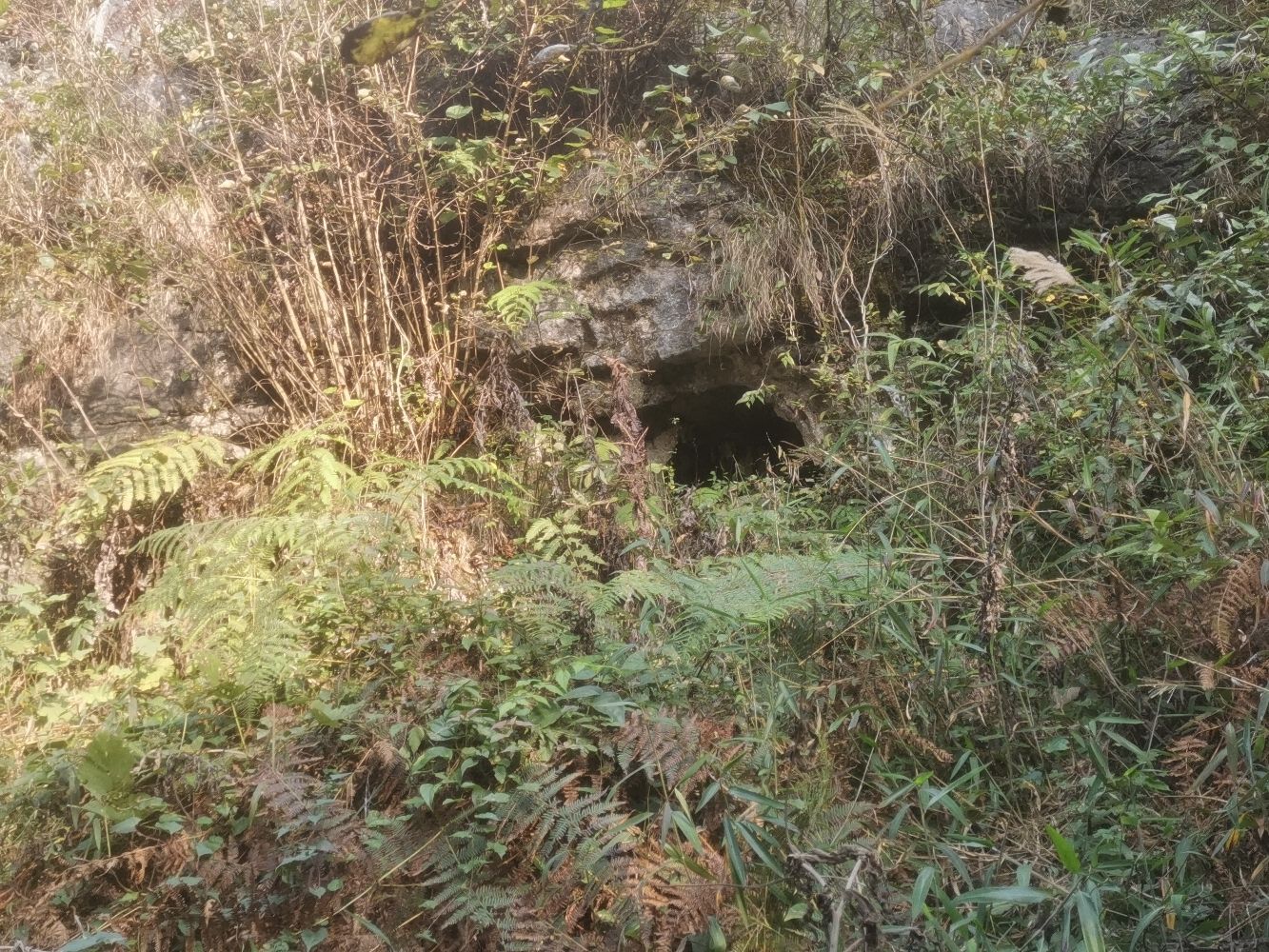 大山坟尾巴洞旅行图片 1