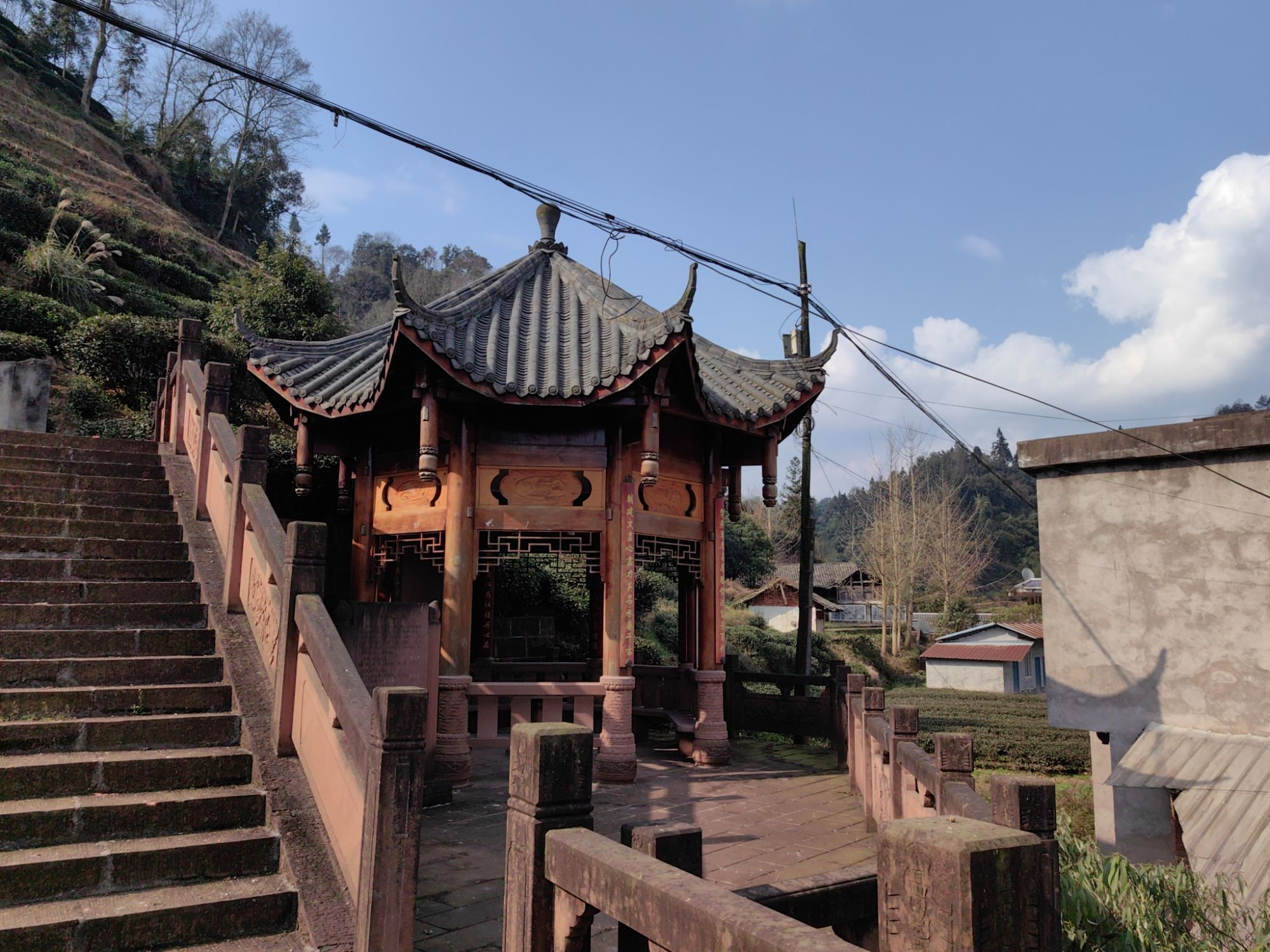 郑孤贞墓旅行图片 1