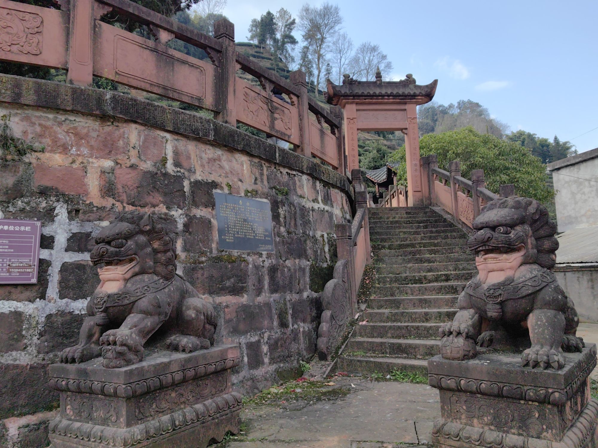 郑孤贞墓旅行图片 3