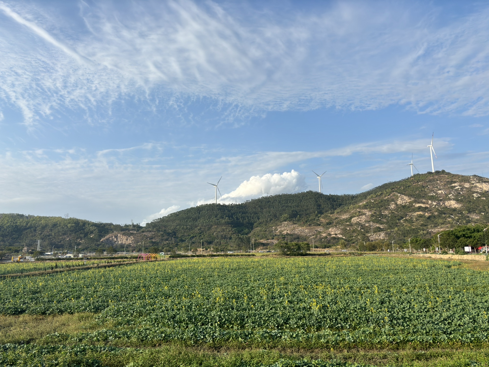 东平风车山旅行图片 1