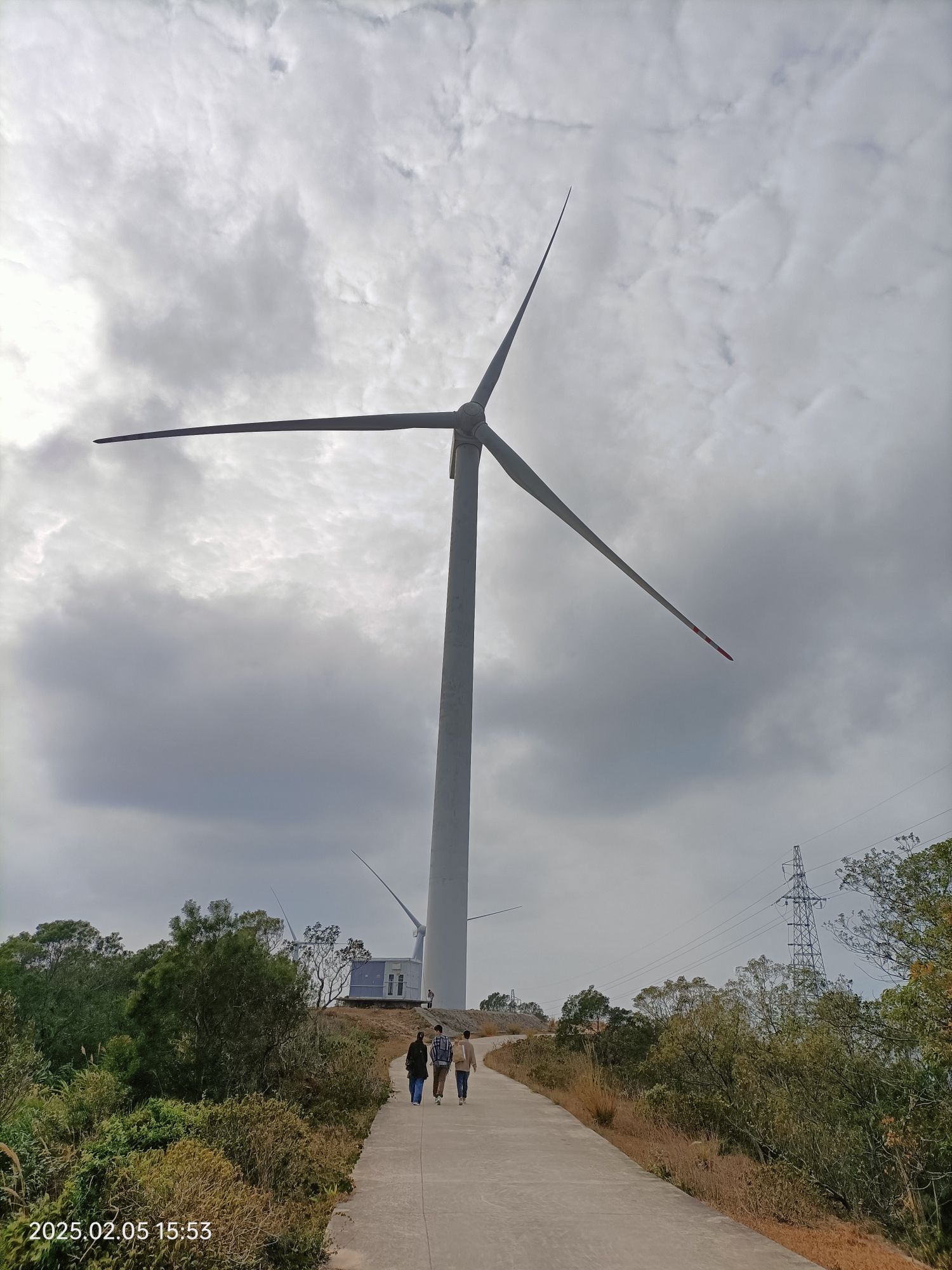 东平风车山旅行图片 2
