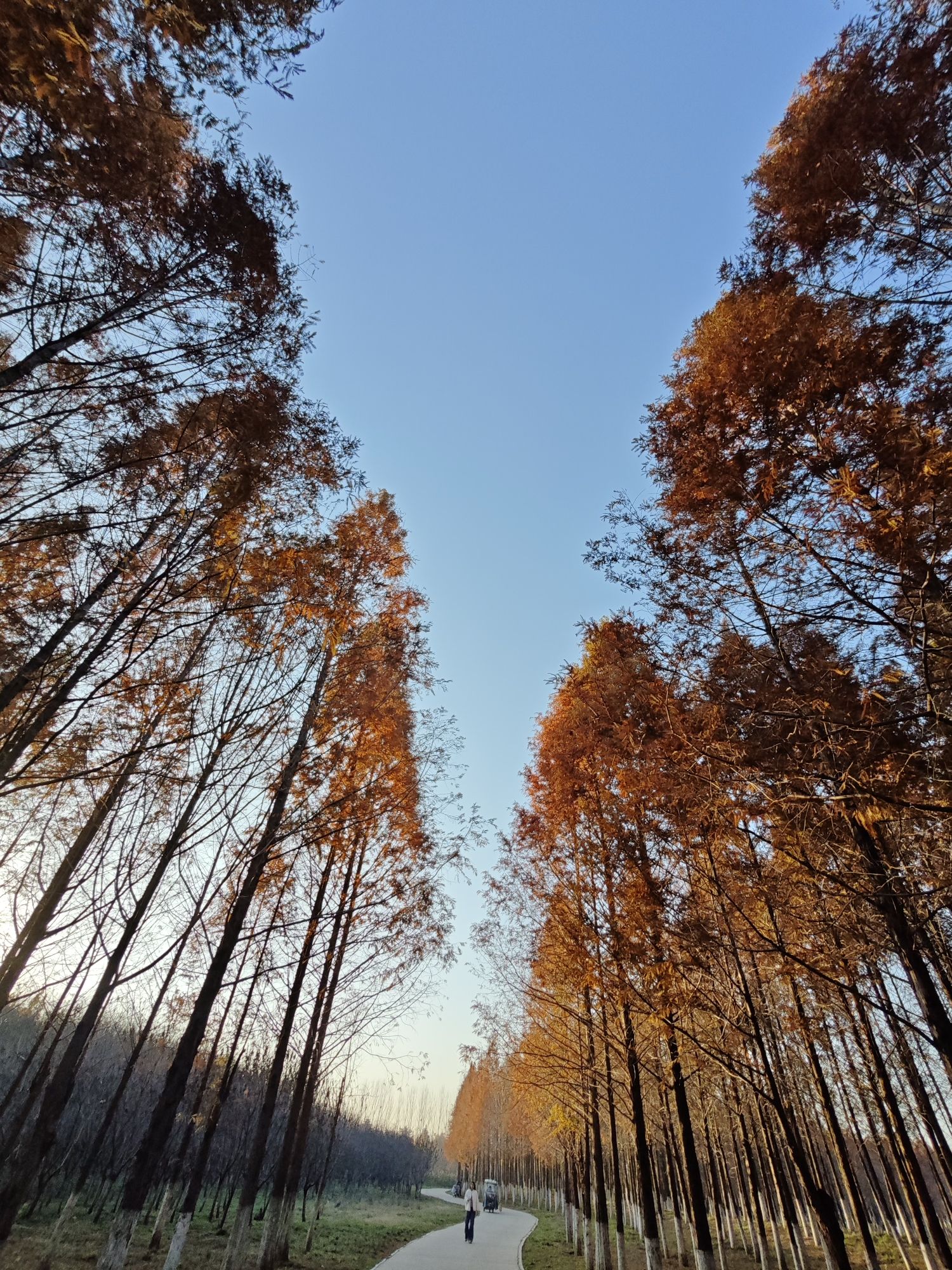 商丘大兴安岭旅行图片 2