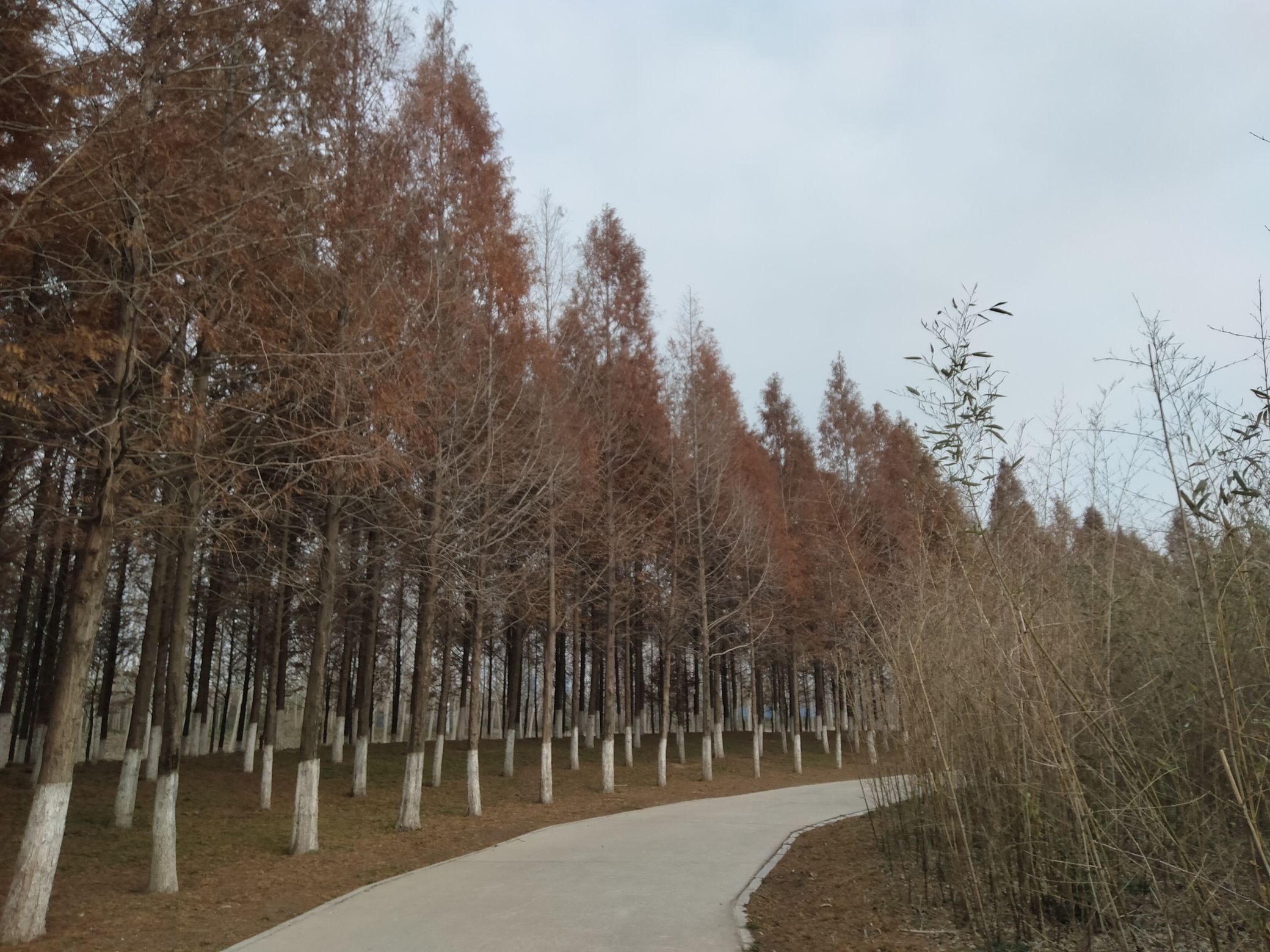商丘大兴安岭旅行图片 3