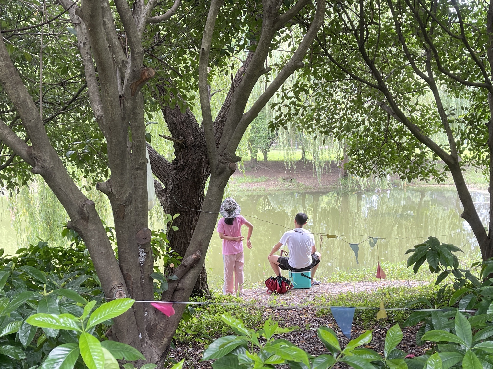 场地封面-南湖公园-露营地