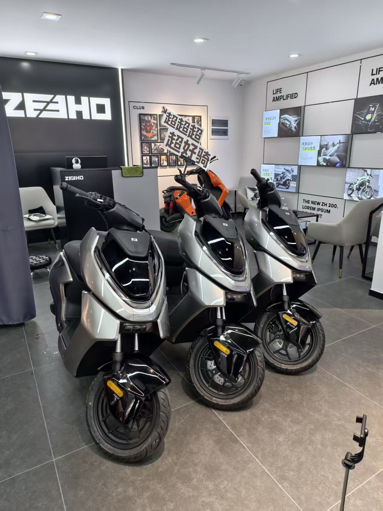 ZEEHO极核电动(芜湖九华中路店)