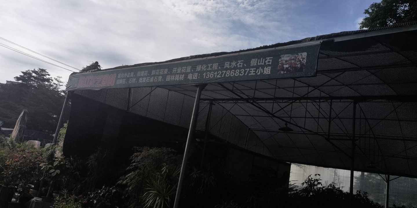 富竹山花卉市场