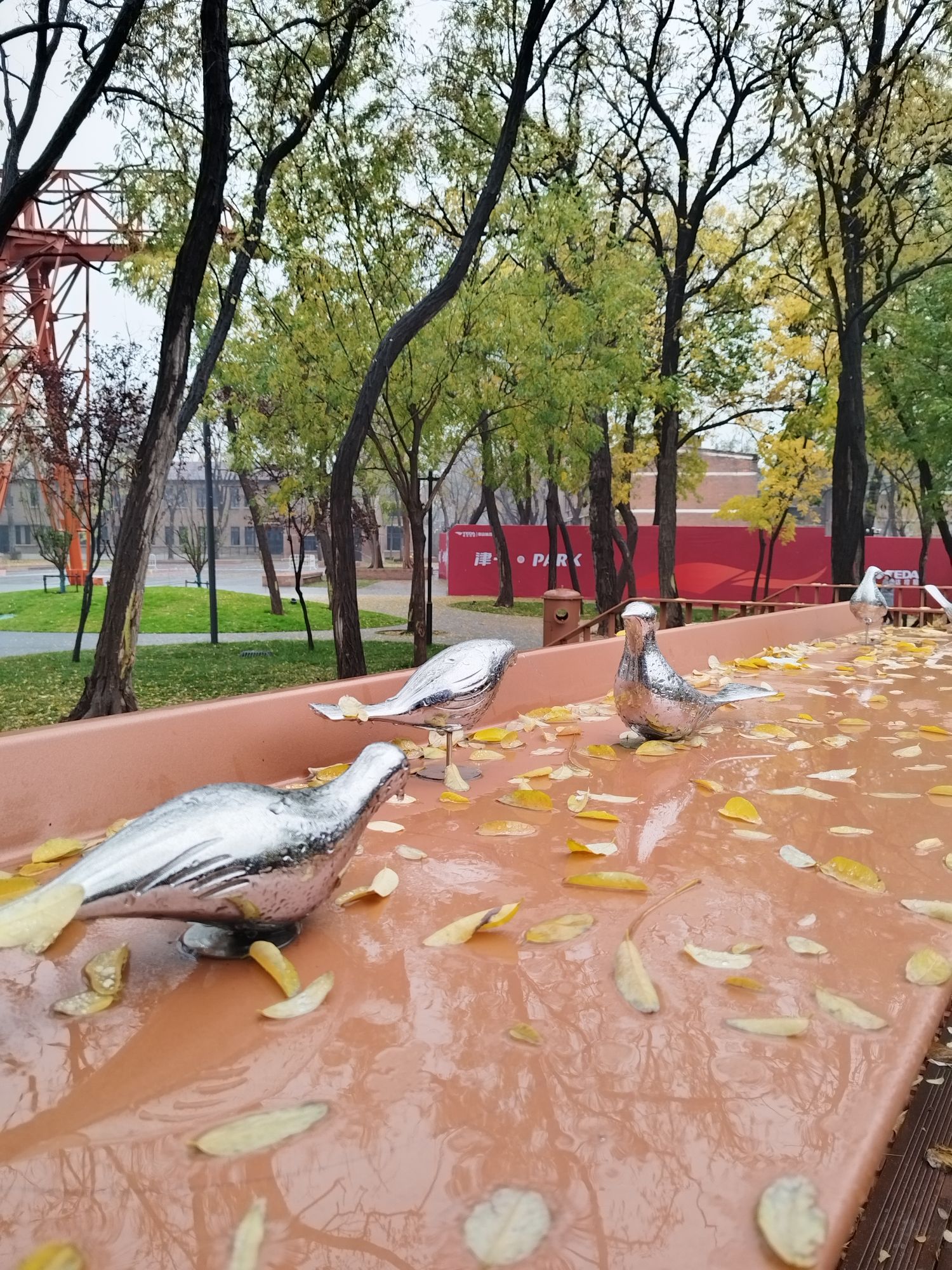 津一·月湾公园旅行图片 2