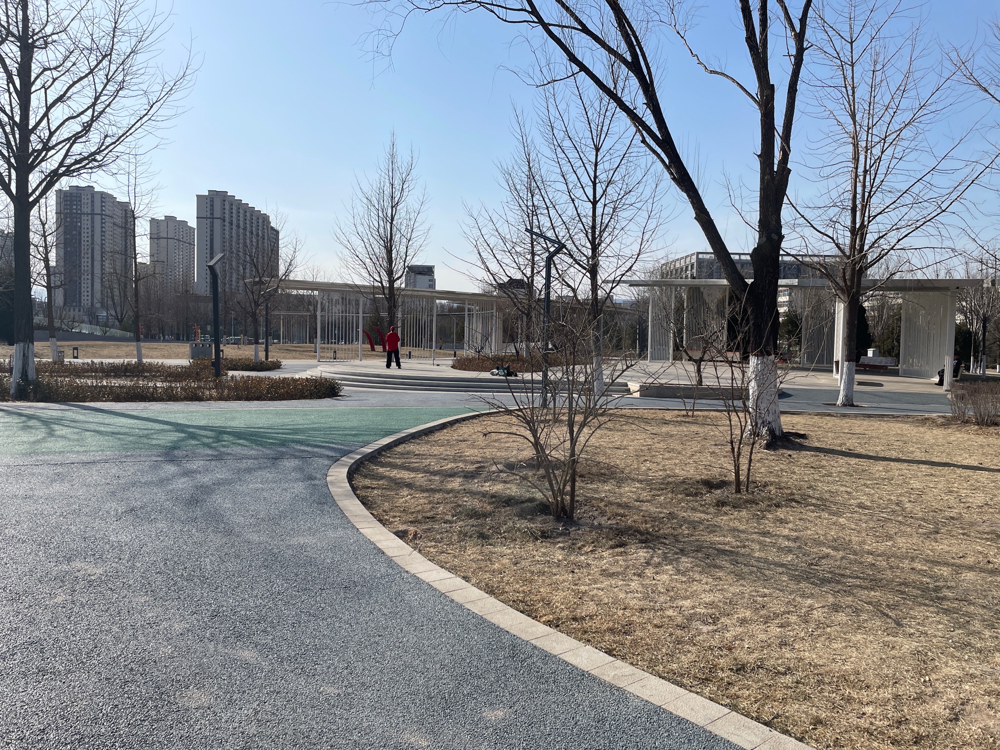 兴华街公园旅行图片 1