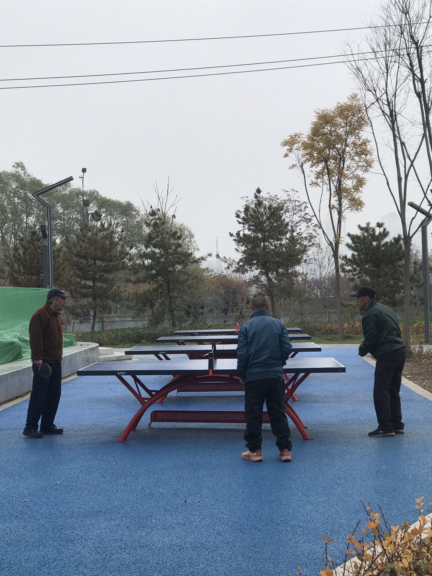 兴华街公园旅行图片 3