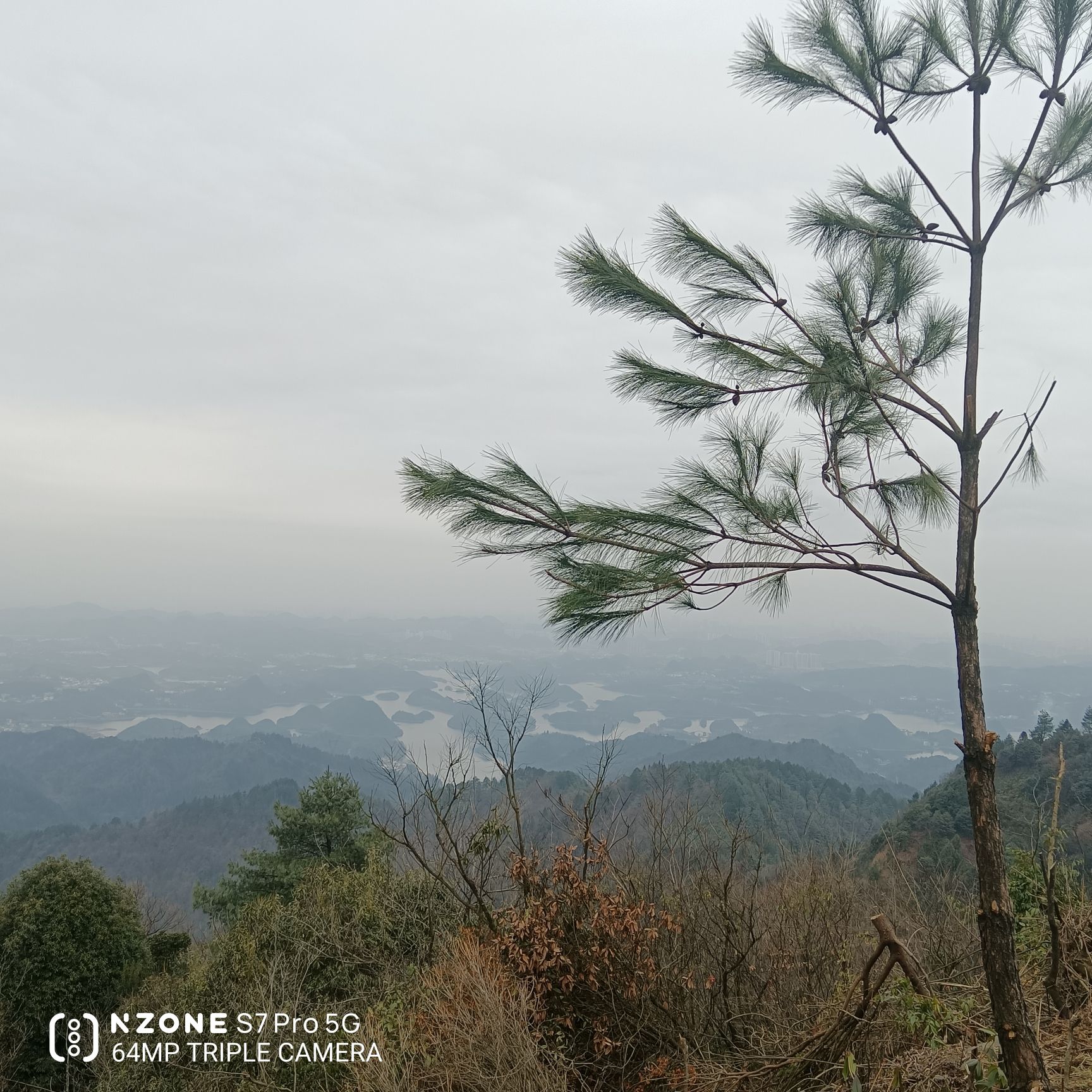 九龙山-观景台旅行图片 1