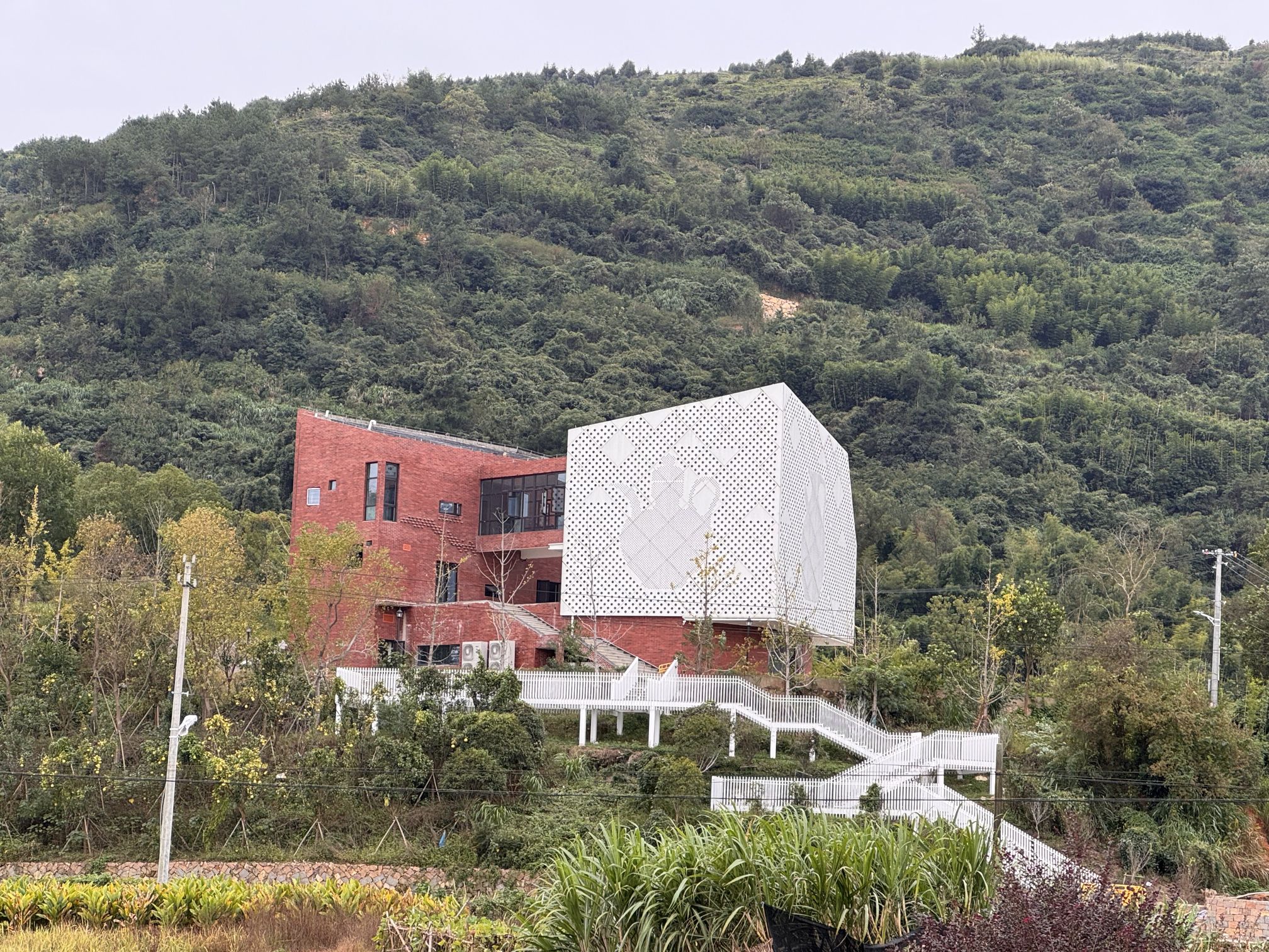陶山瓯窑古镇旅行图片 3
