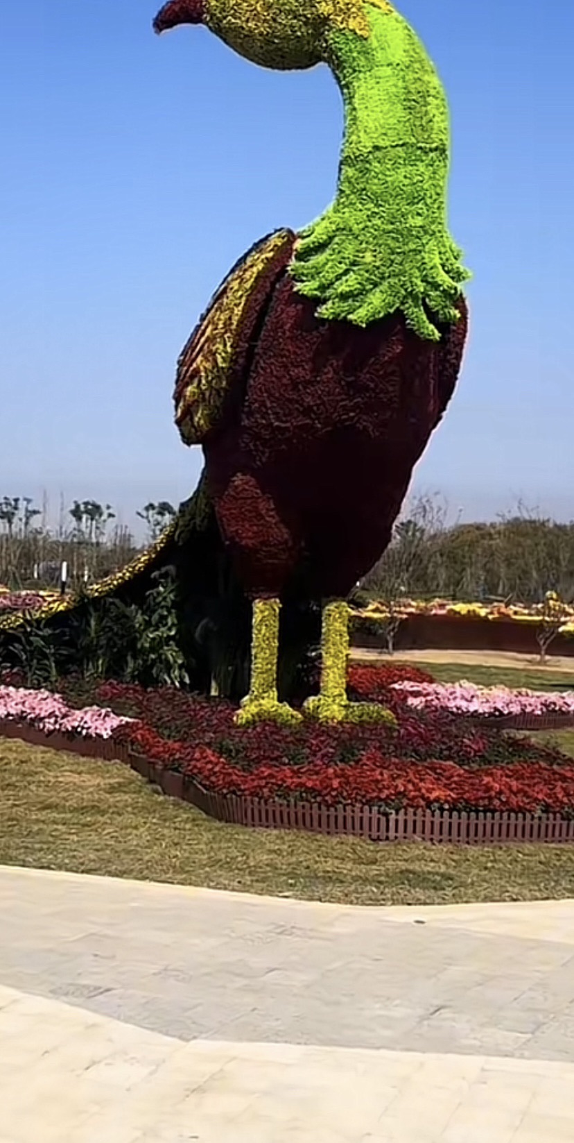东篱湖菊花博览园旅行图片 2