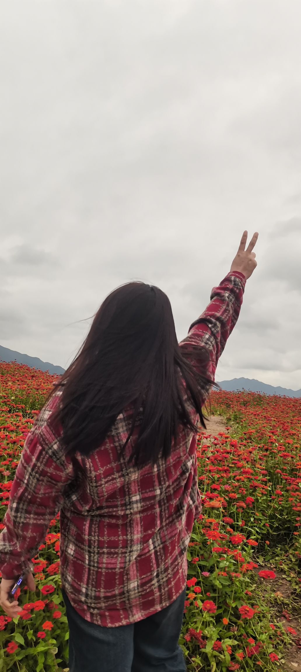 东阳江北花海旅行图片 1
