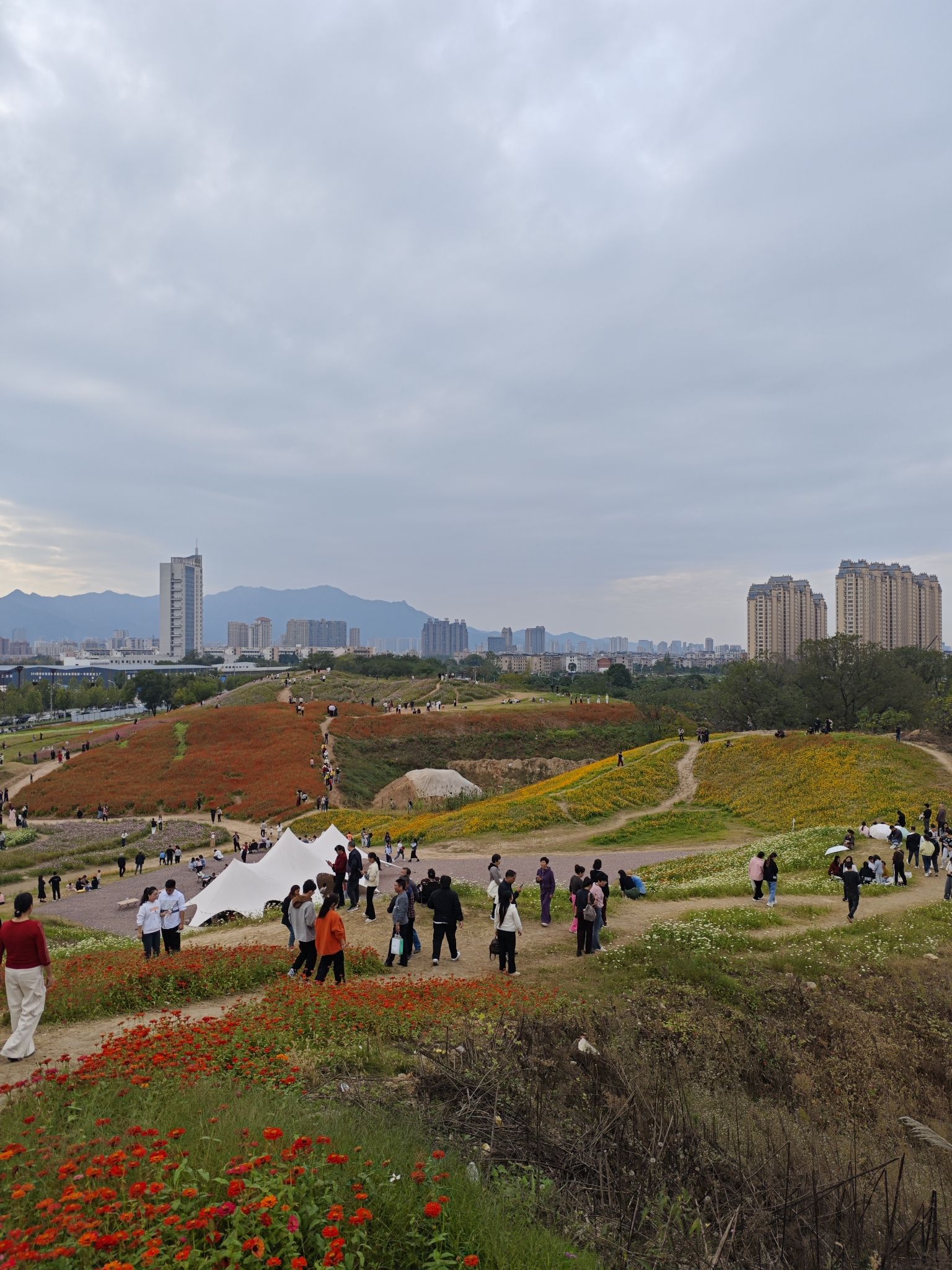 东阳江北花海旅行图片 1