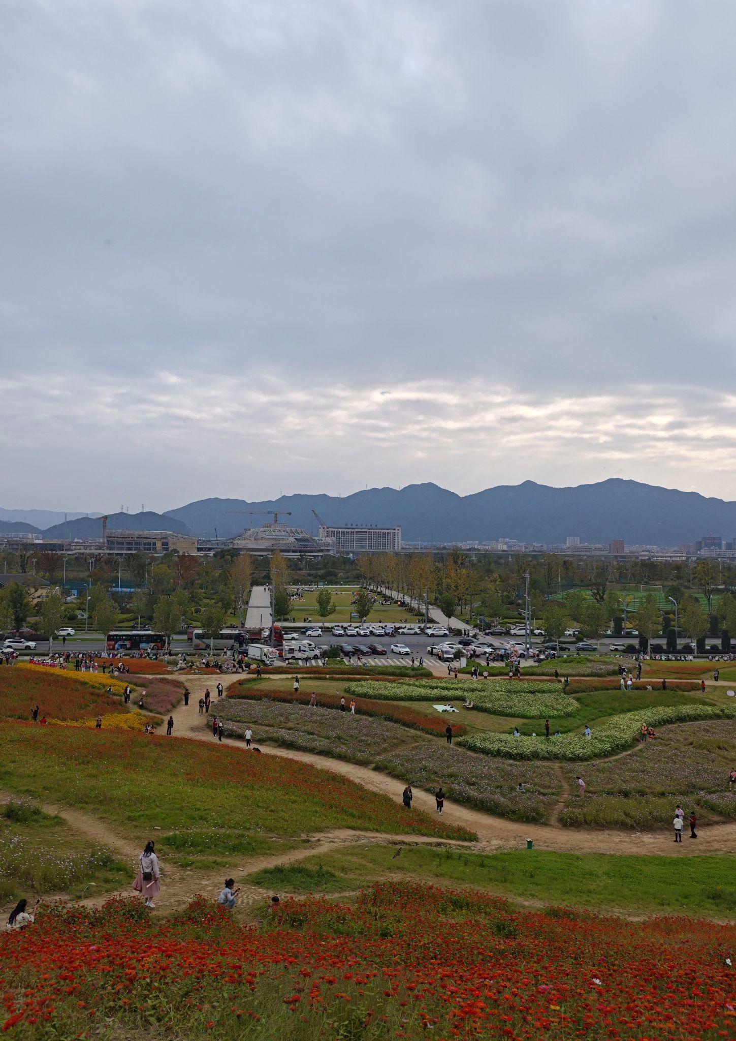 东阳江北花海旅行图片 2