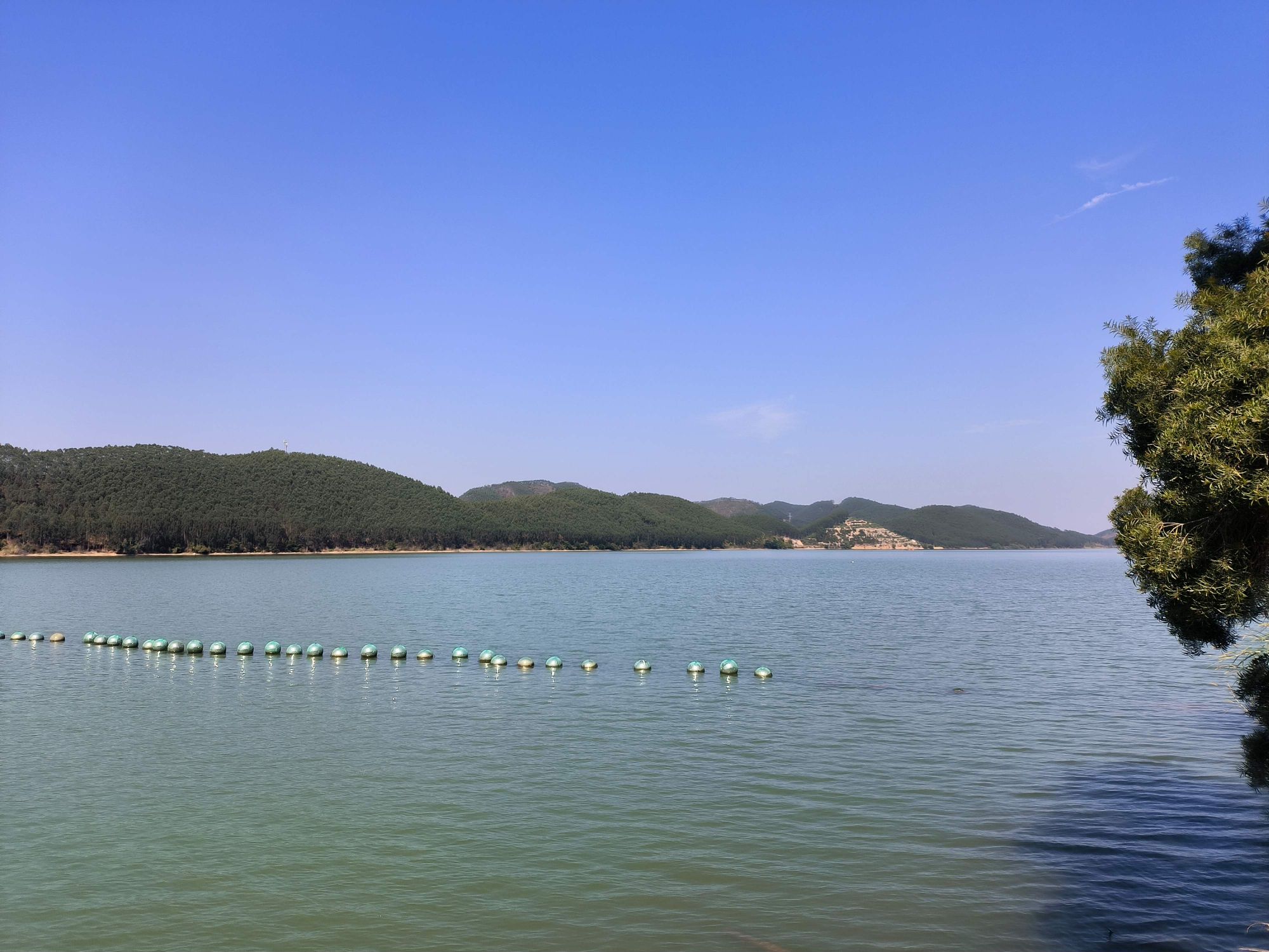 北海小洱海旅行图片 1