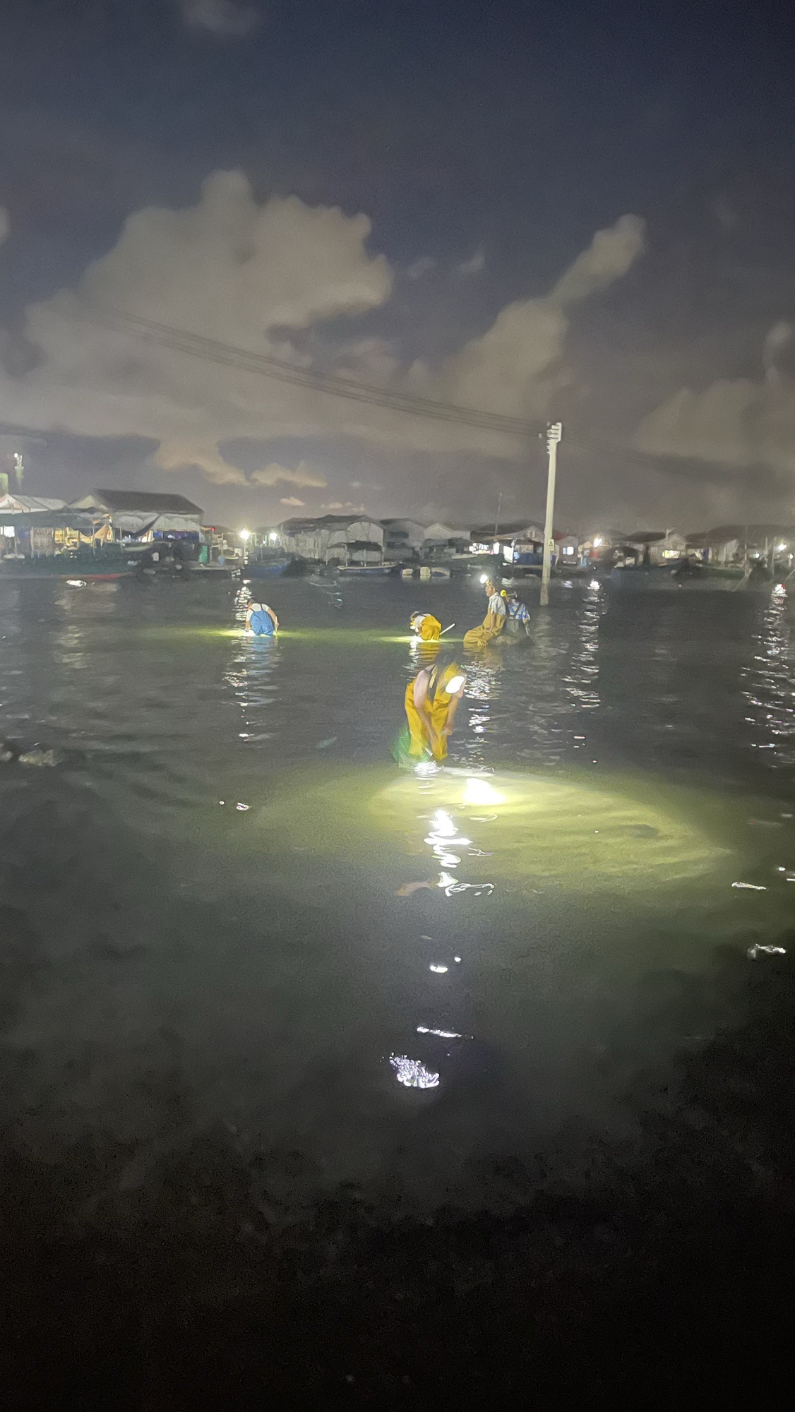 陵水赶海体验