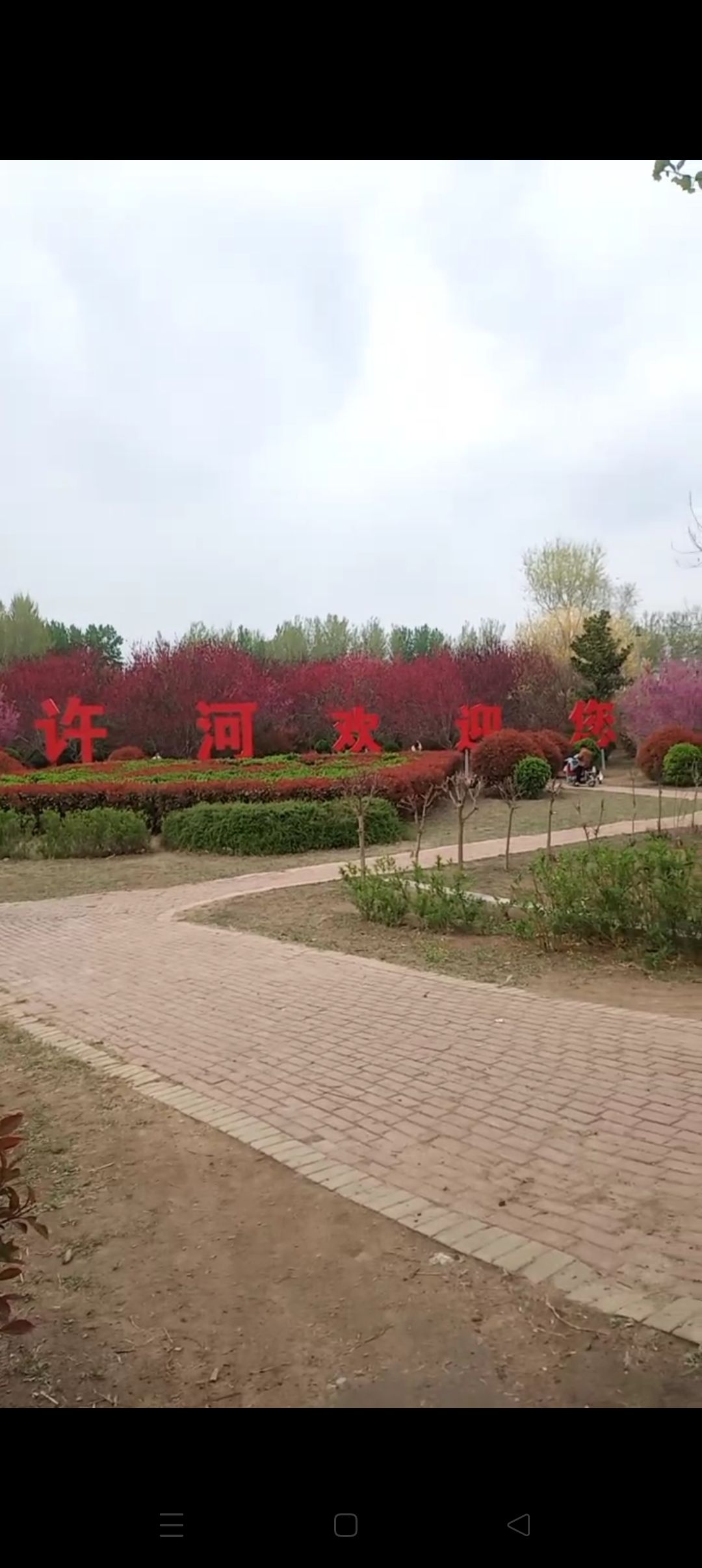 许河镇公园旅行图片 1