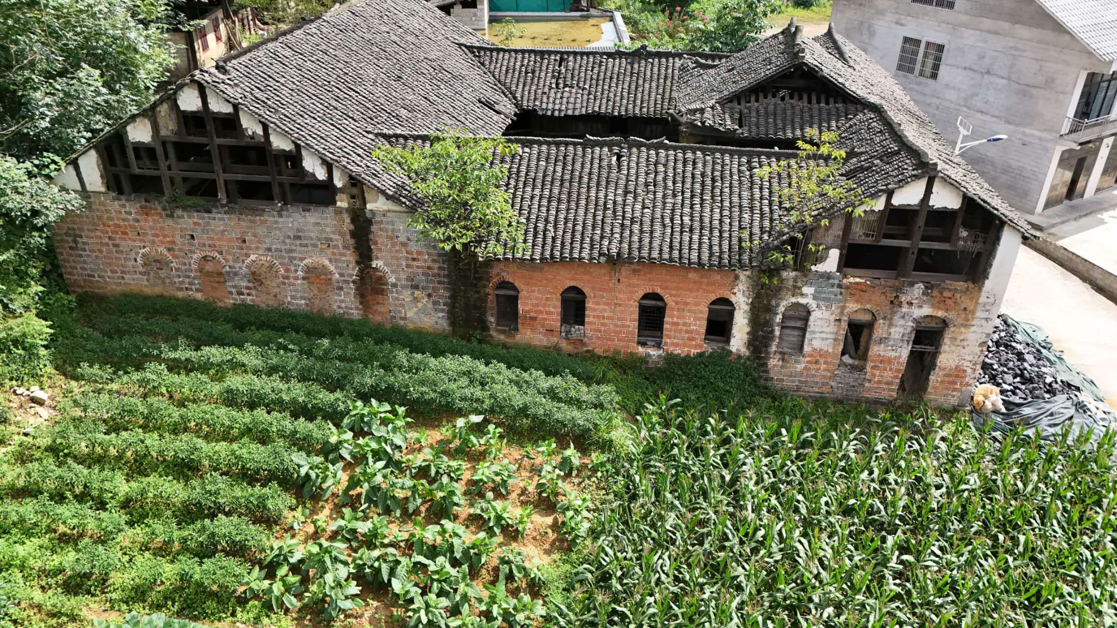 王氏宗祠旅行图片 3