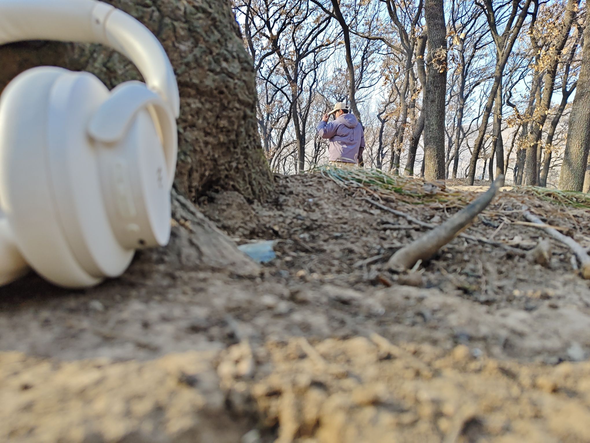 萧县龙泉寺橡树林旅行图片 3