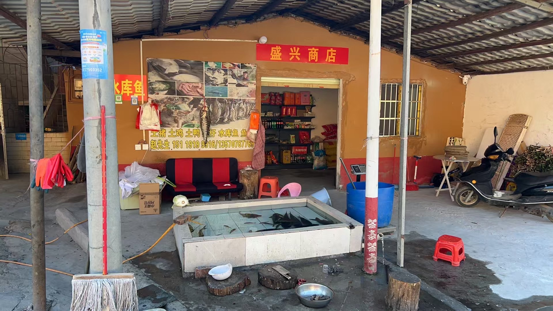 南水水库鱼专卖