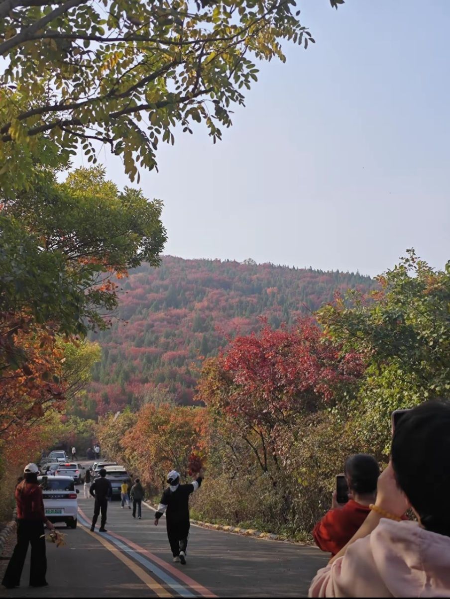 牛郎山红叶风景区旅行图片 3